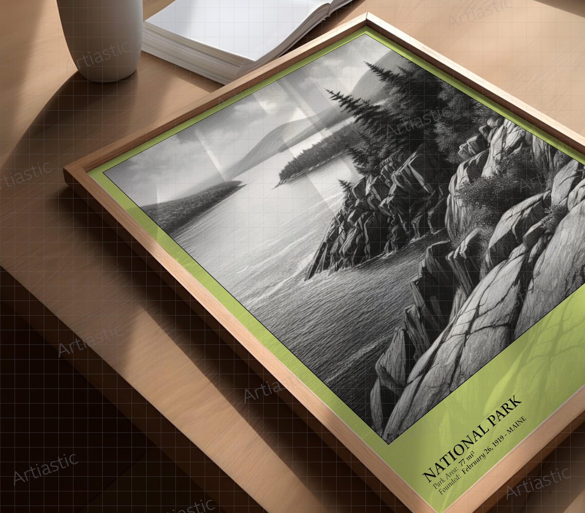 acadia national park framed drawing