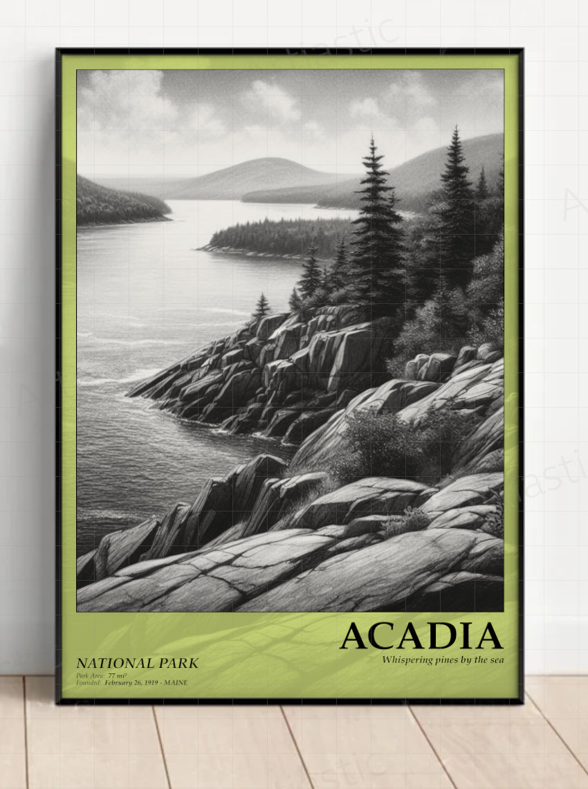 acadia national park poster framed