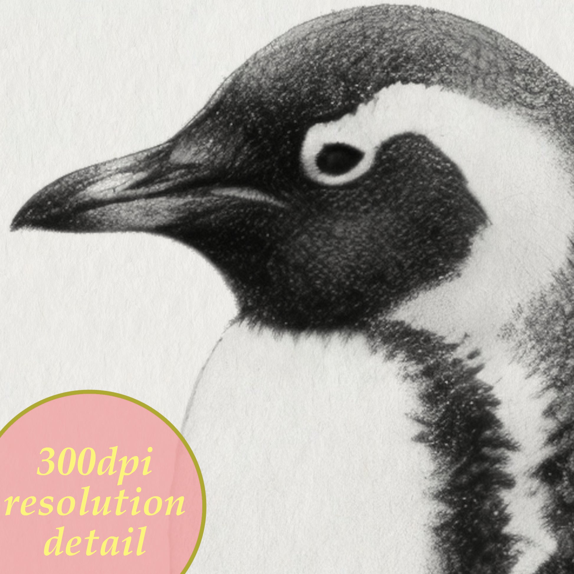 adelaide penguin printable wall art detail