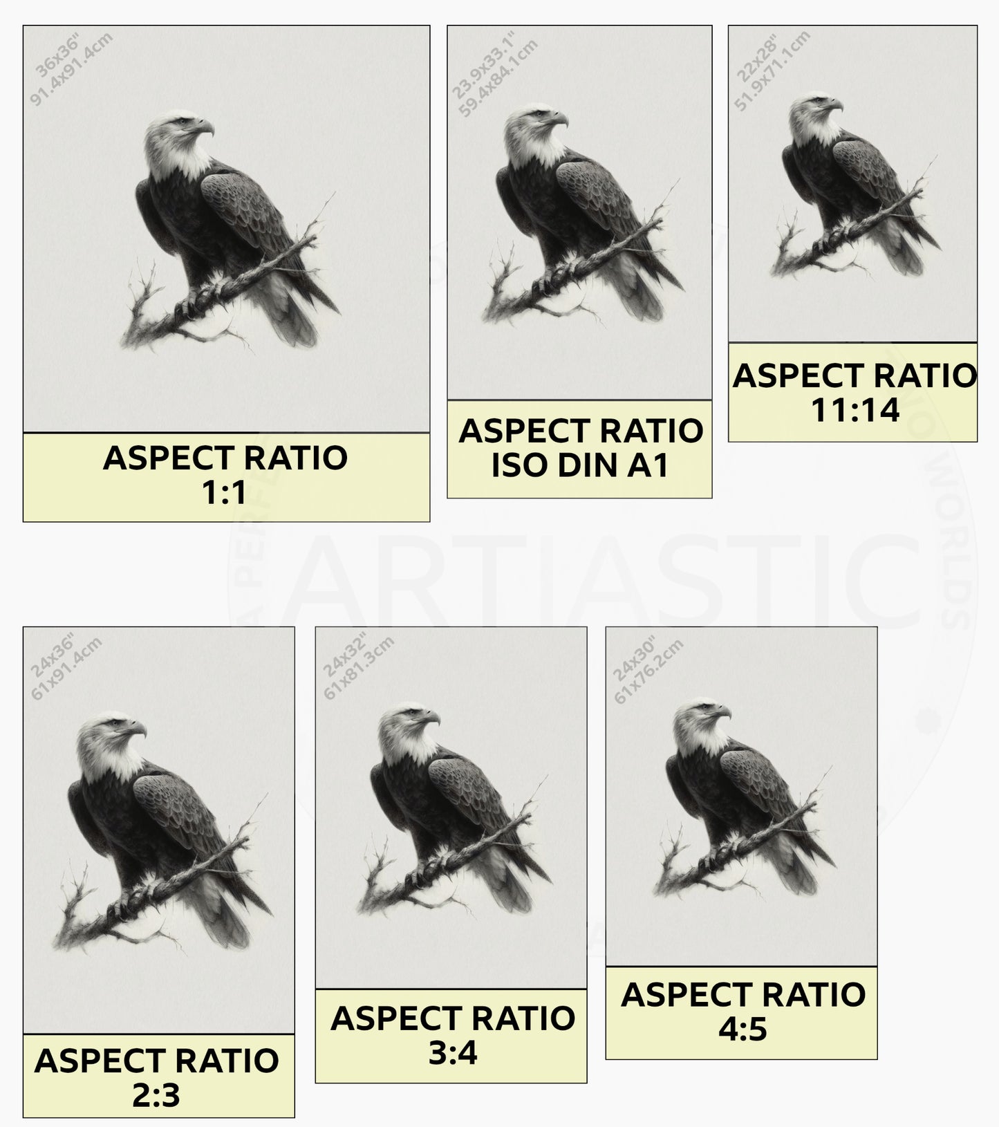 printables drawings bald eagle wall art ratios