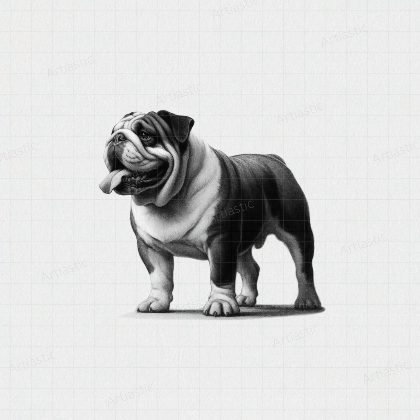 printable drawing of a bulldog