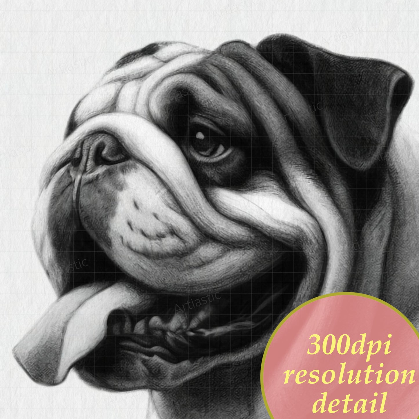 printable drawing of a bulldog zoom