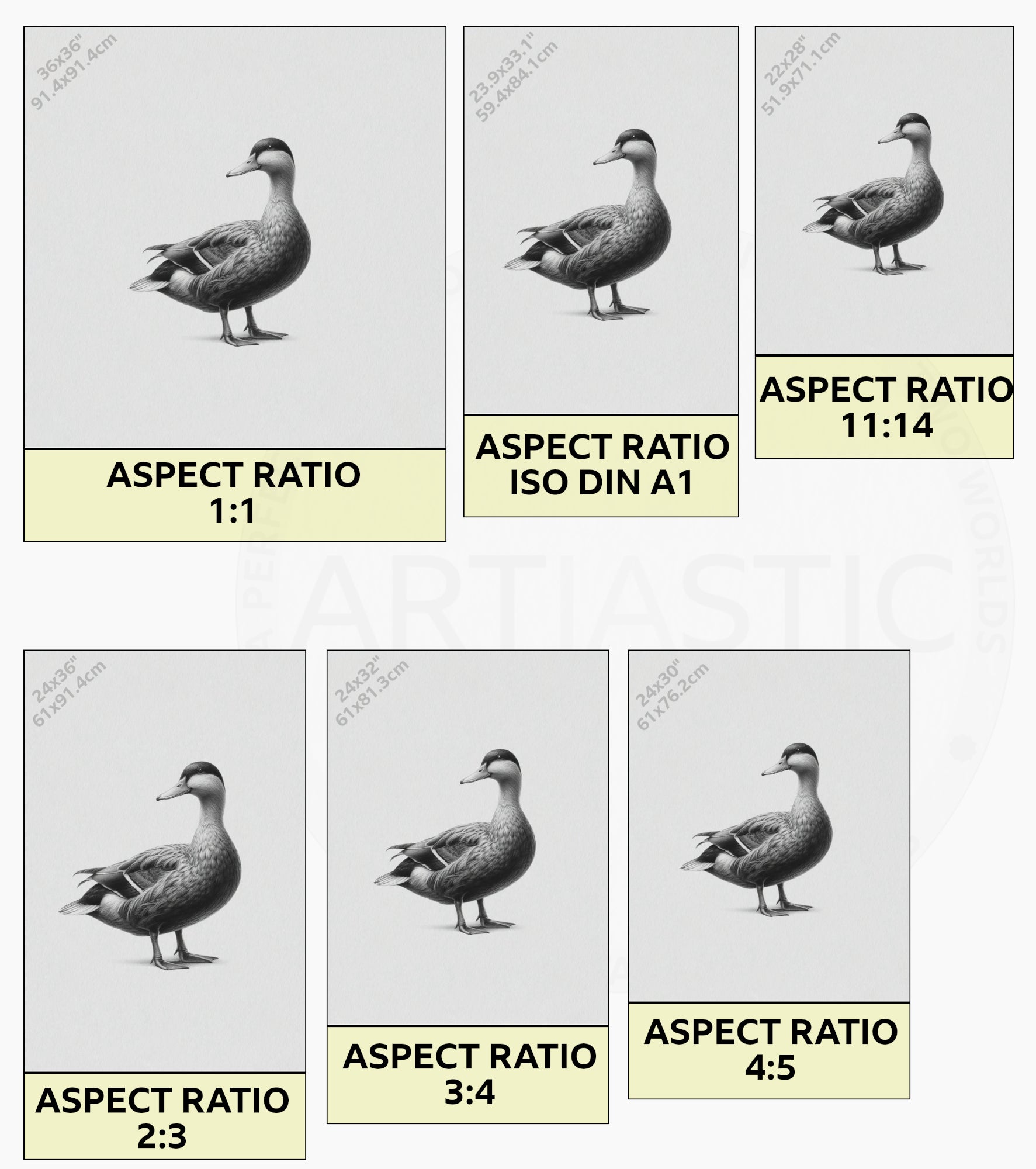 dibujo imprimible pato de granja ratios