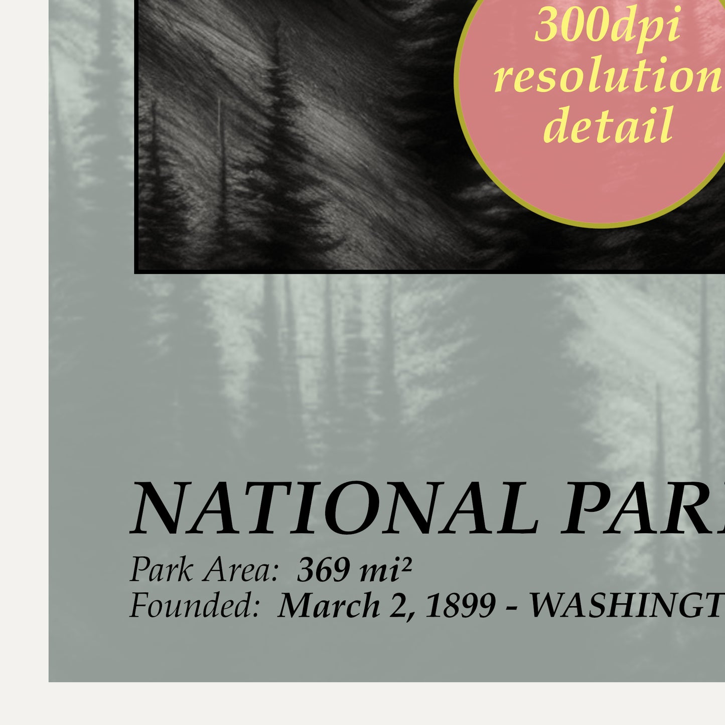 mount rainier national park poster detail