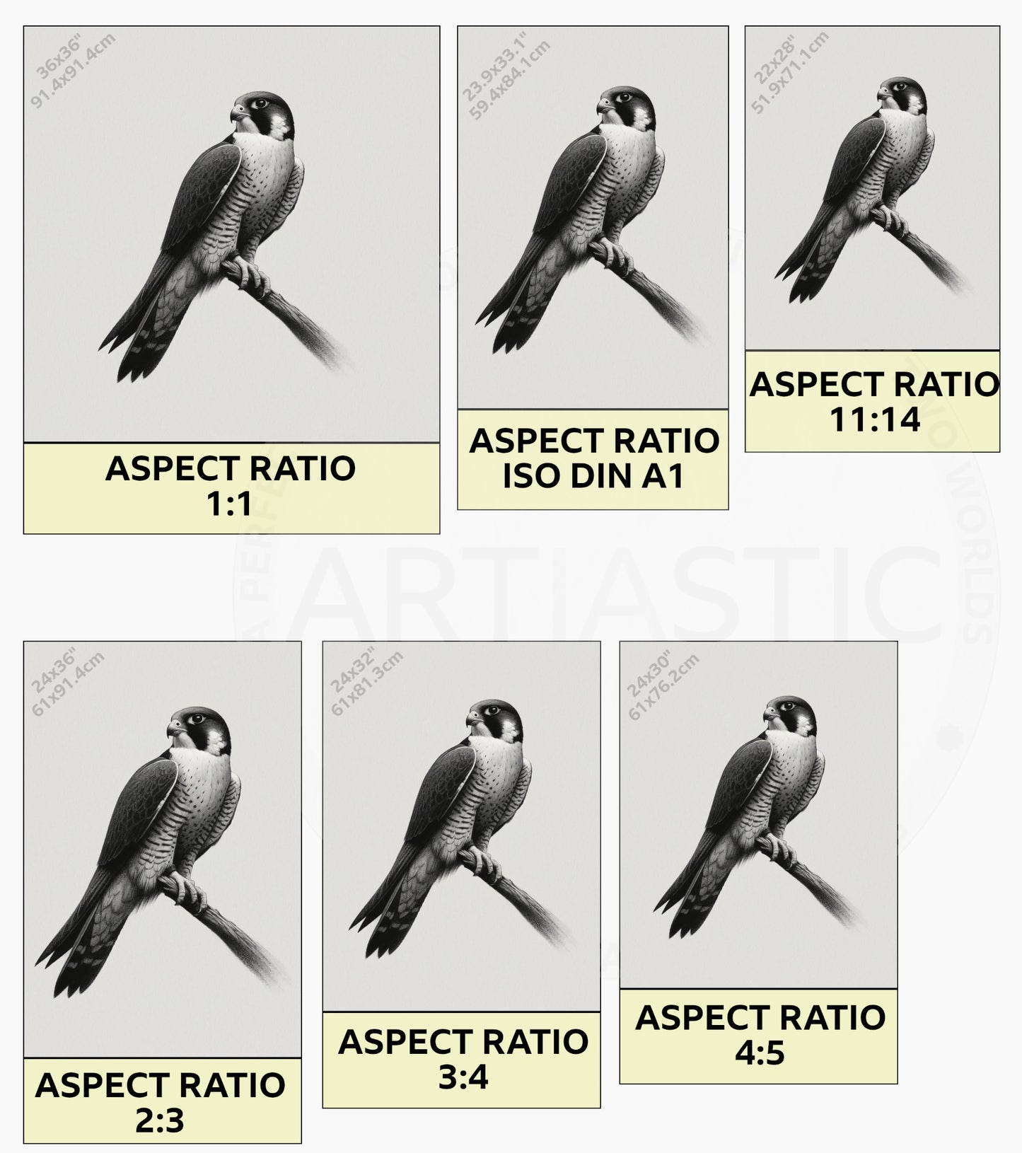 peregrine falcon wall art ratios