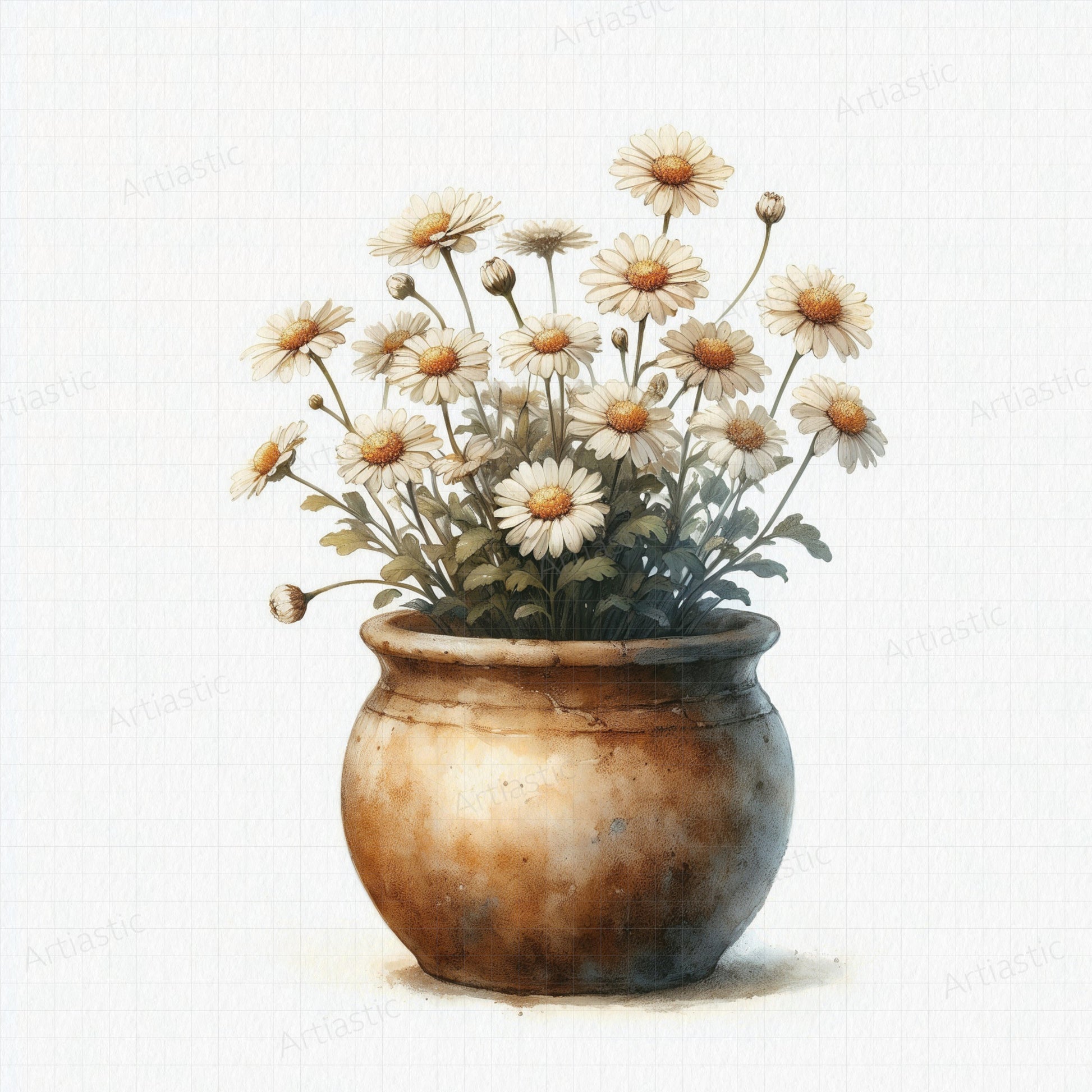 watercolor drawing pot of daisies