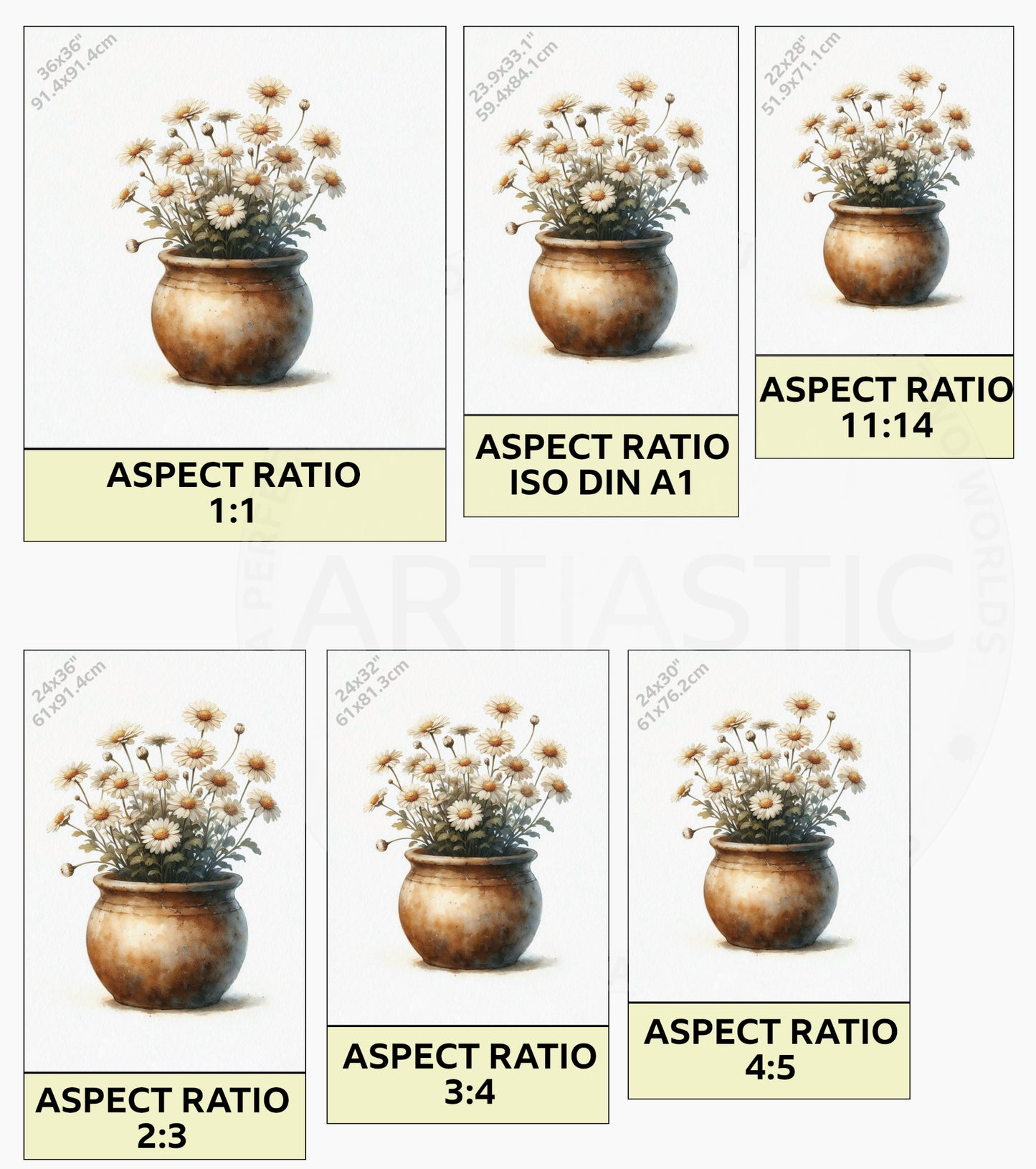 pot of daisies watercolor drawing ratios