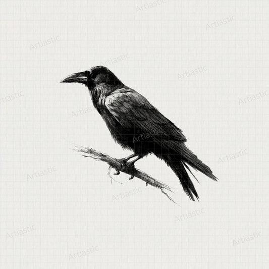 printable drawing raven charcoal wall art