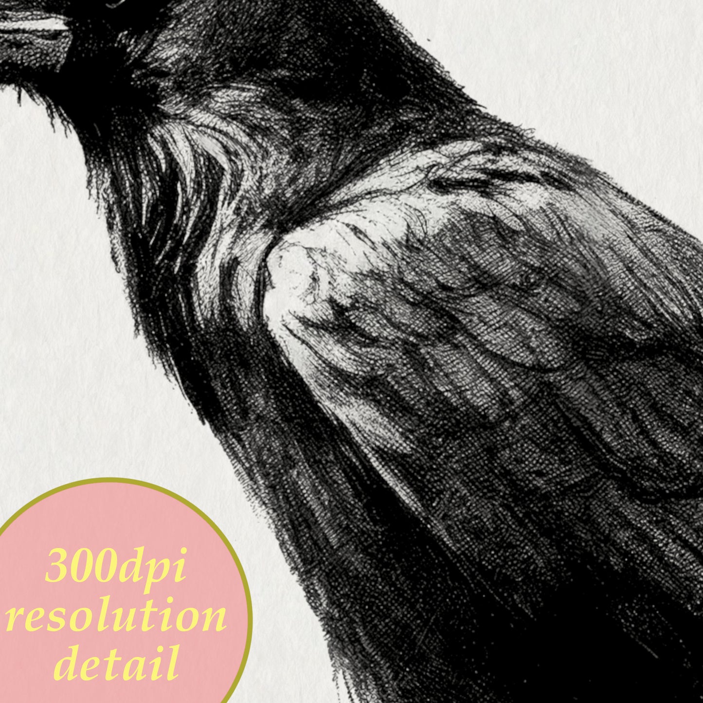 printable drawing raven charcoal wall art detail