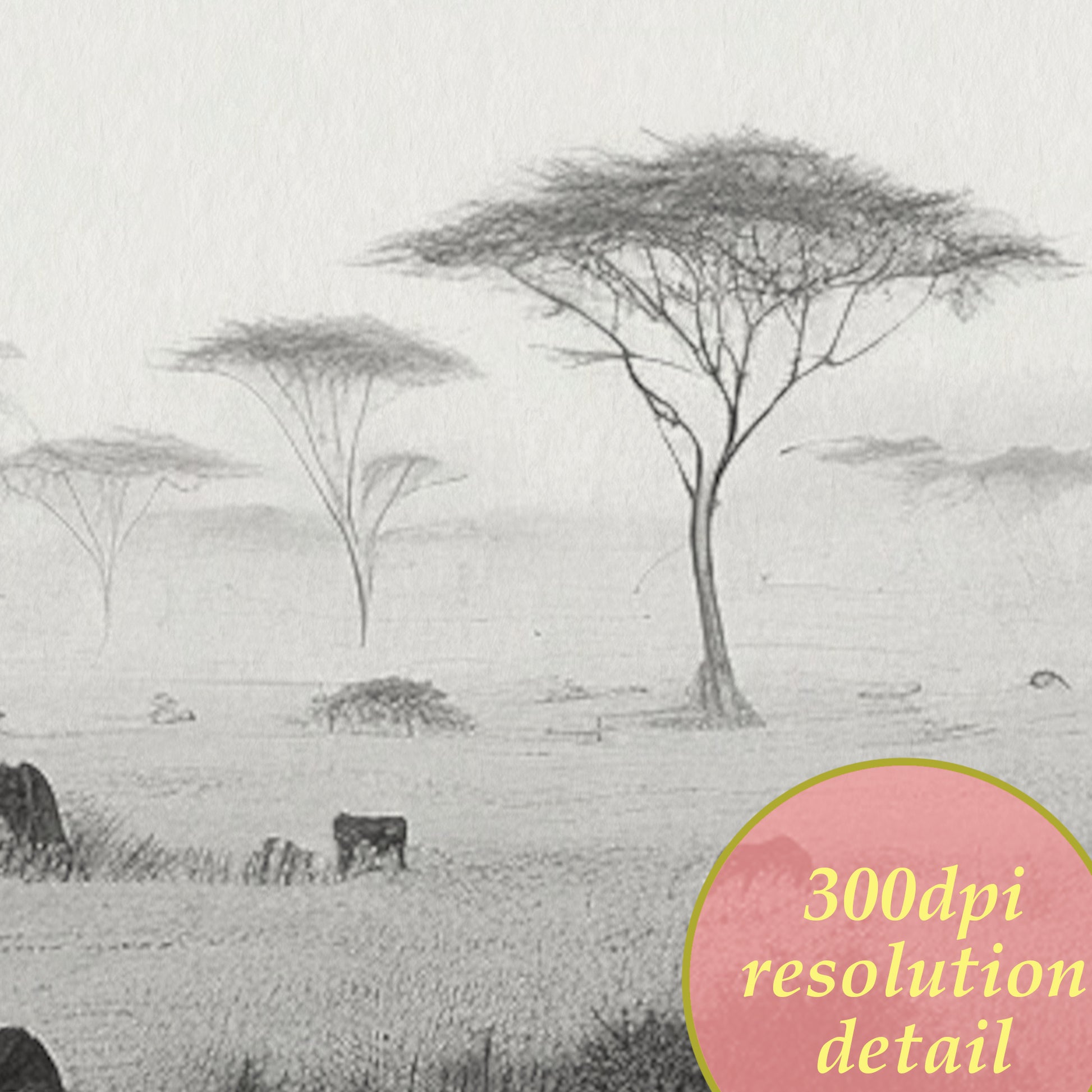 Africa Savanna digital diptych drawing  detail