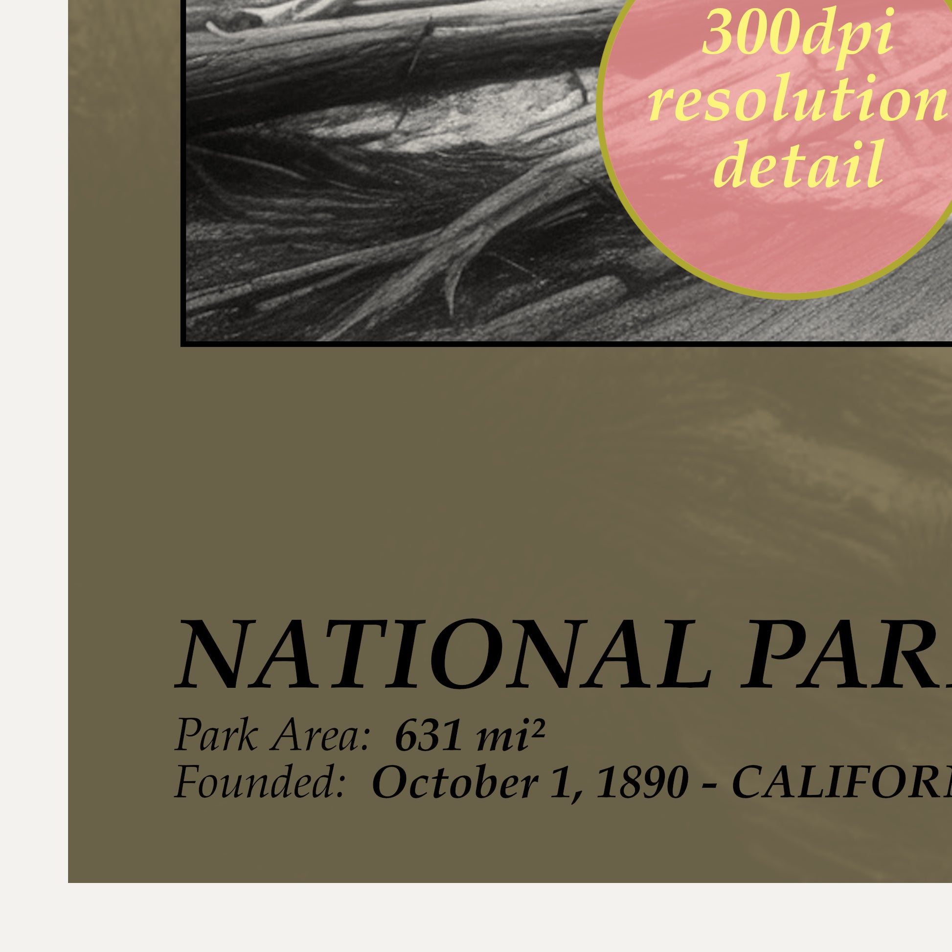 sequoia national park poster detail