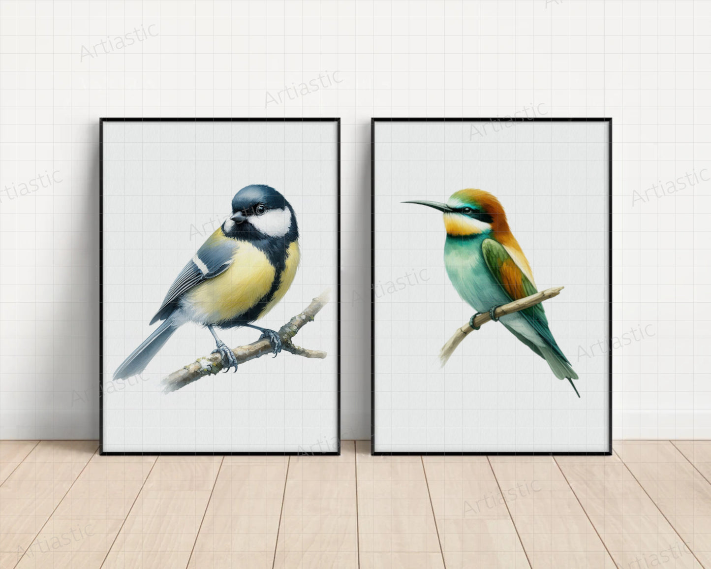 watercolor birds bundle bee-eater