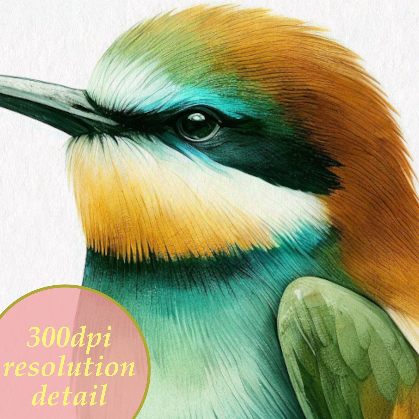 Bee eater watercolor printable drawing detail