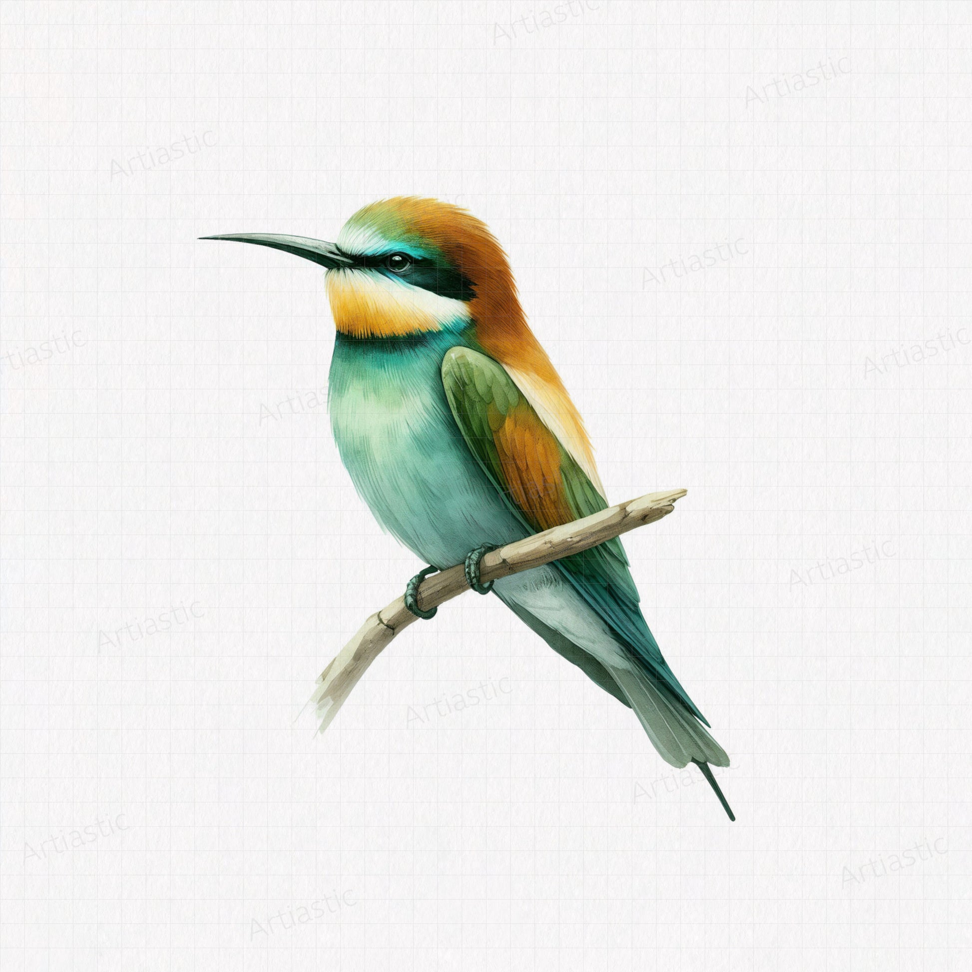 Bee eater watercolor printable artwork