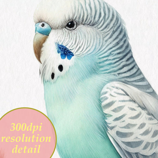 Parakeet watercolor printable drawing detail