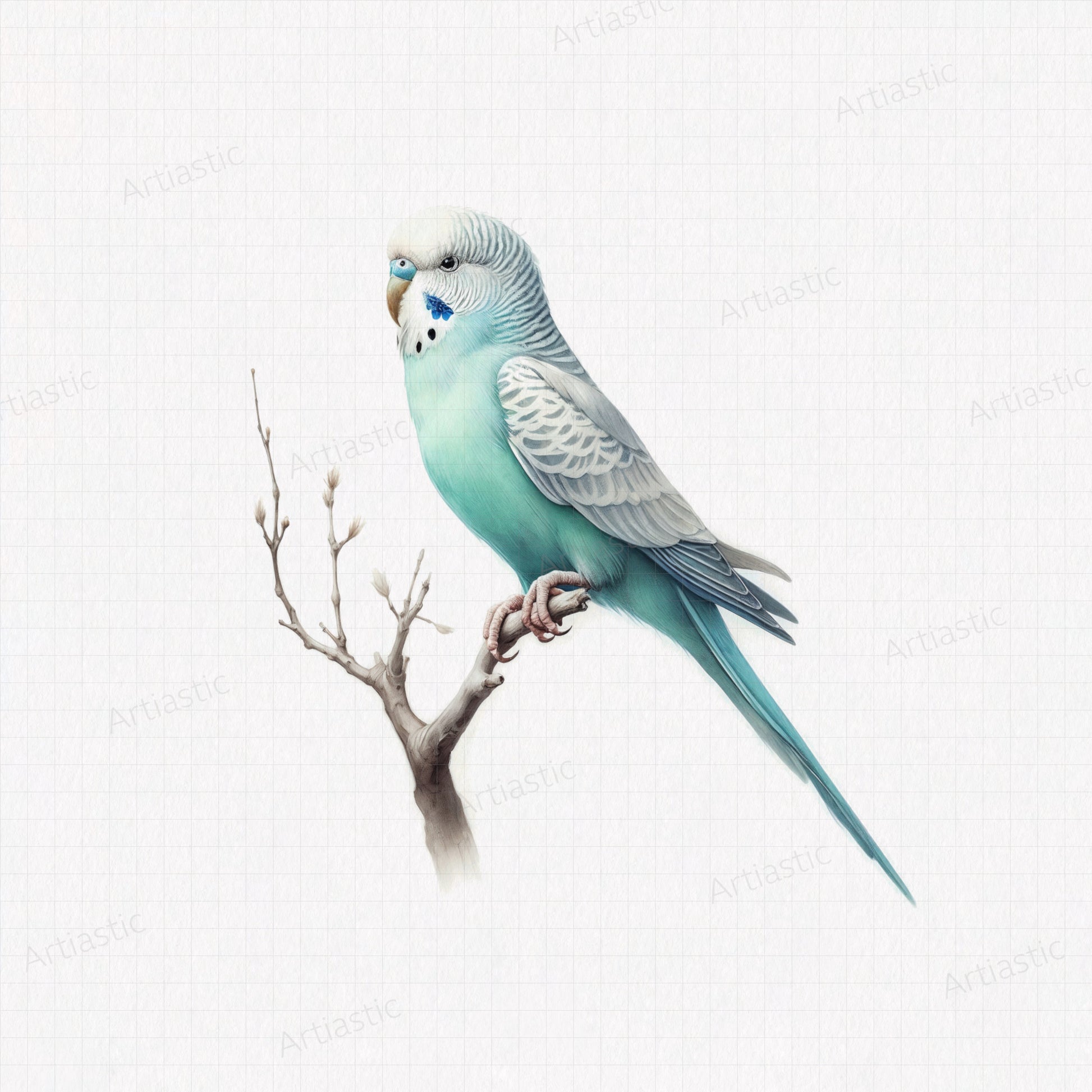 Parakeet watercolor printable artwork