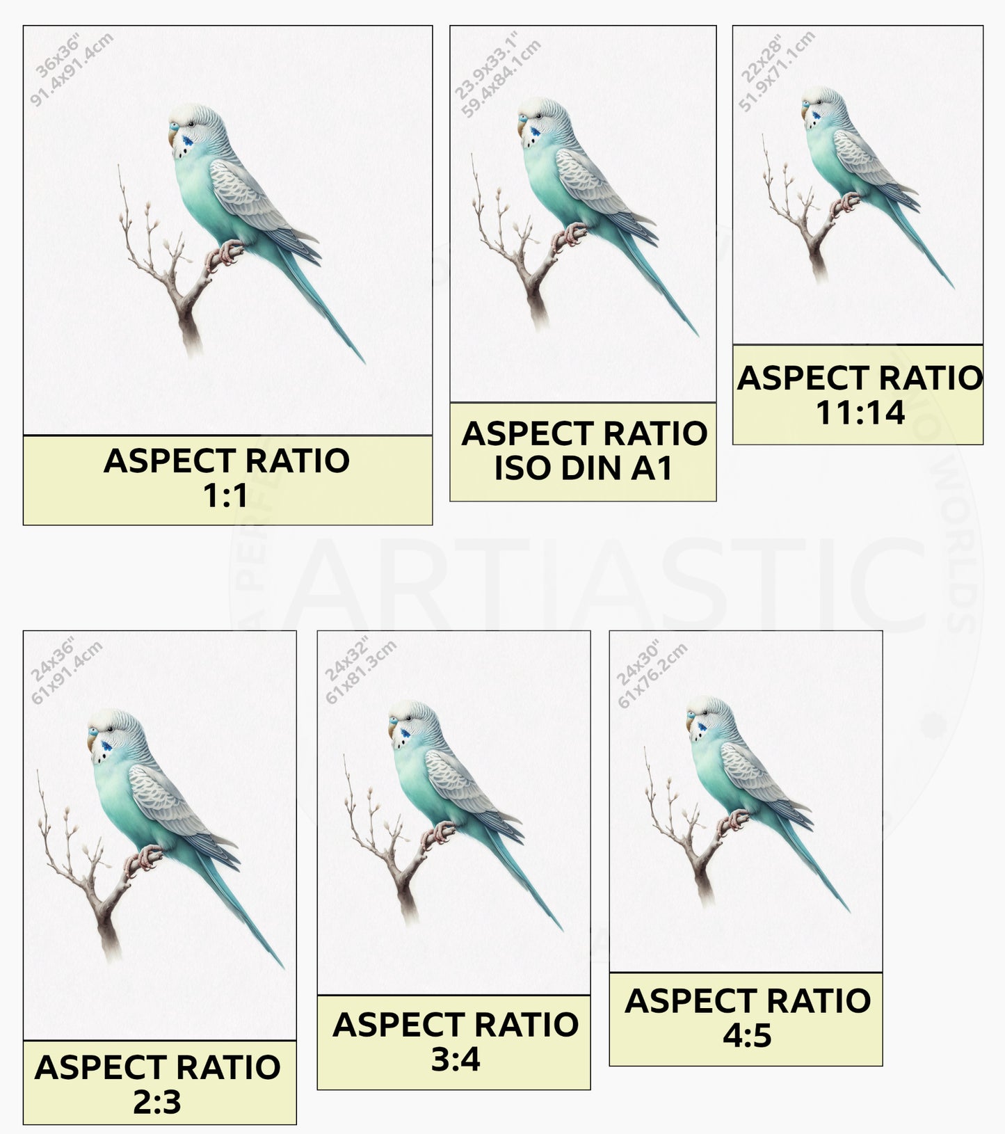 Parakeet watercolor digitalal print & framed artwork