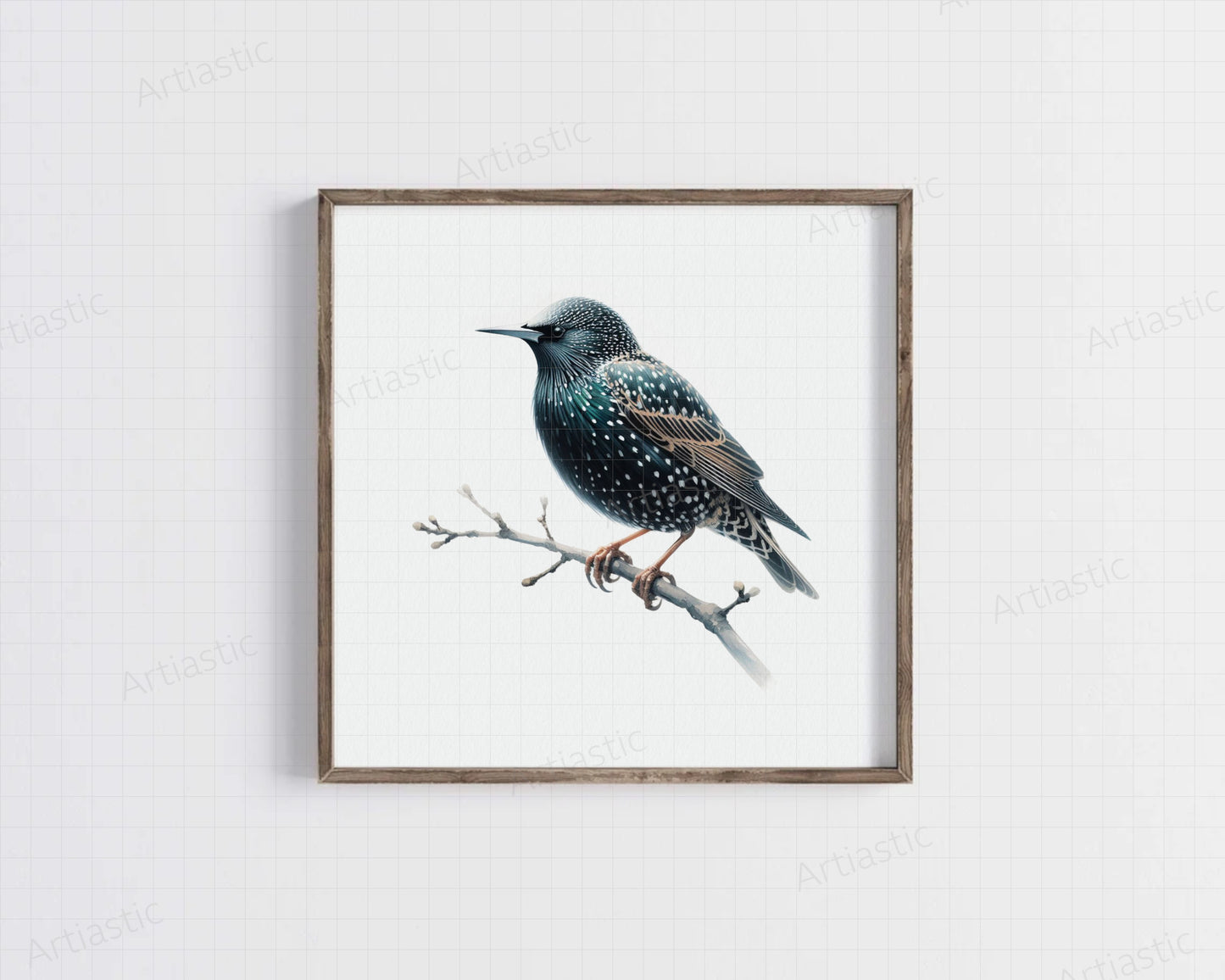 Starling acuarela arte digital