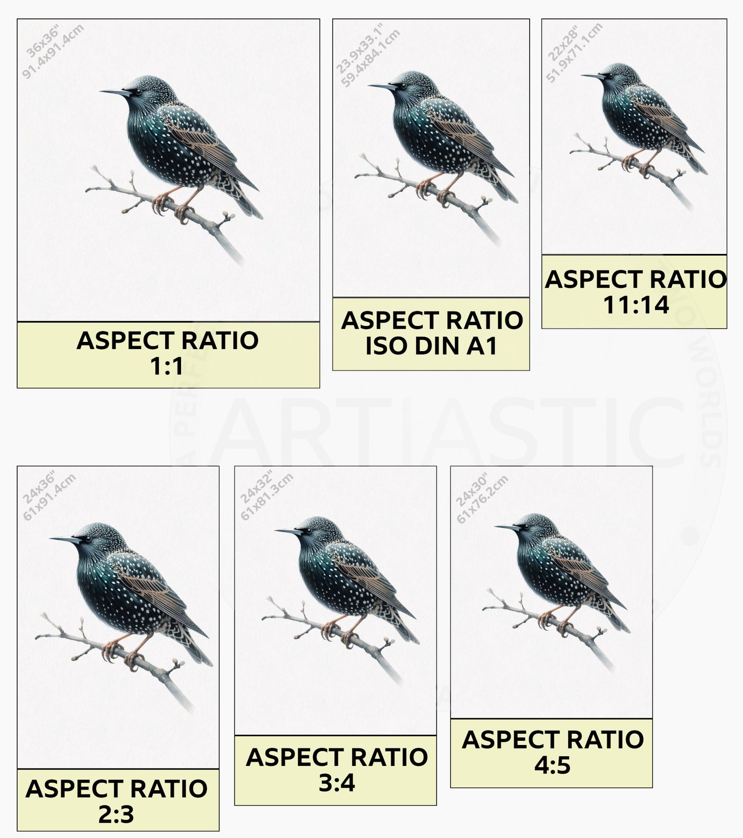 Starling watercolor digitalal print & framed artwork