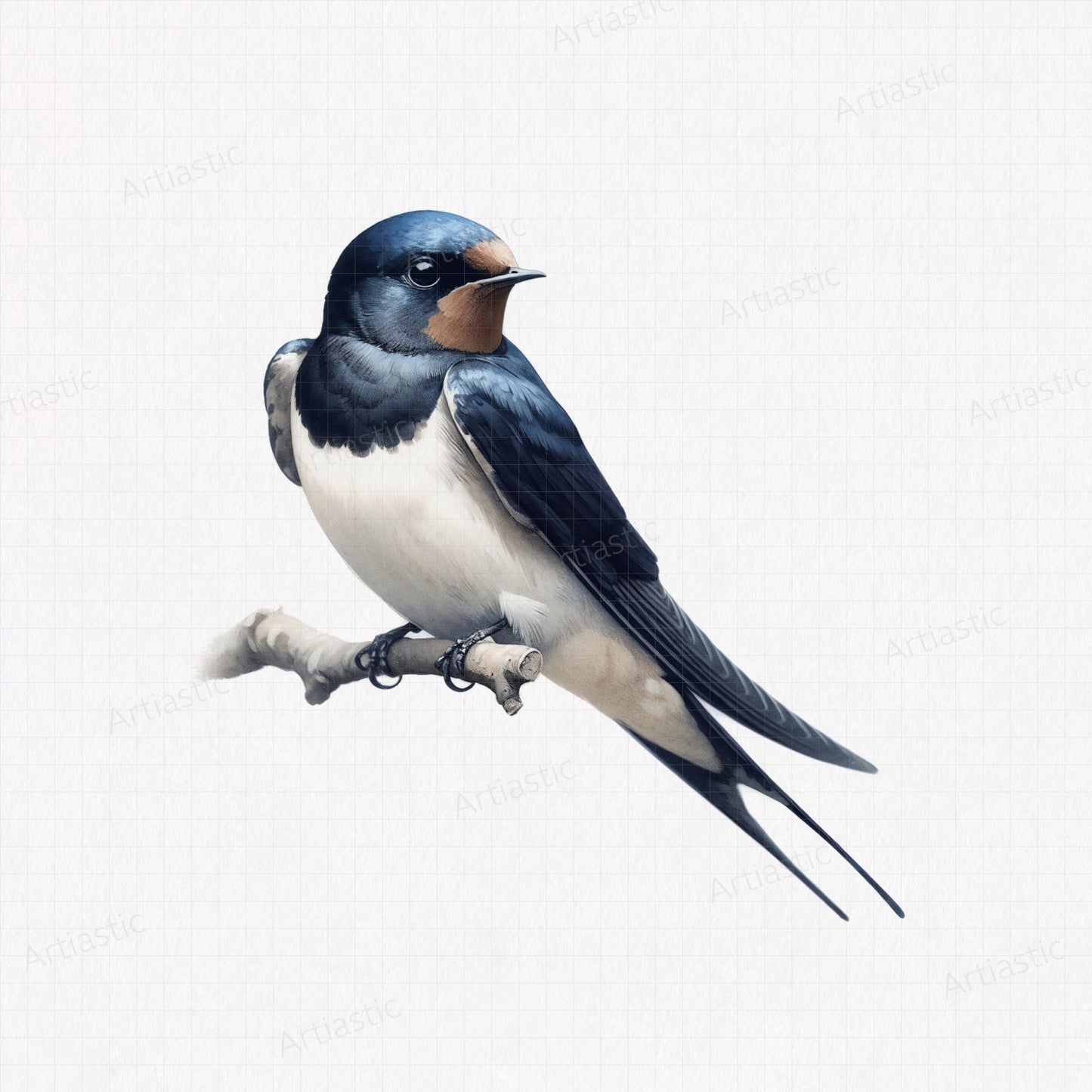 Swallow watercolor printable artwork