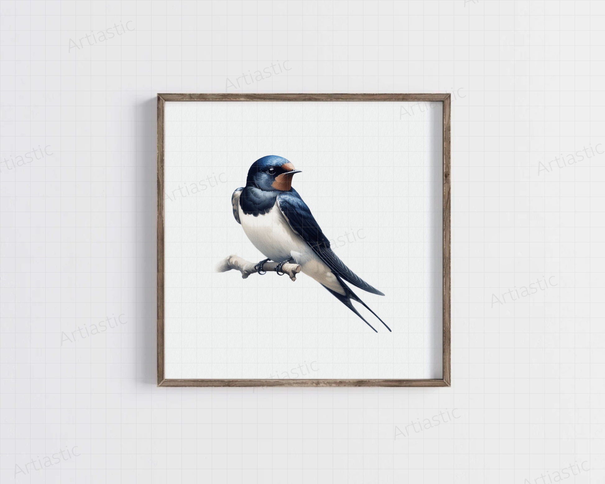 Swallow acuarela arte digital