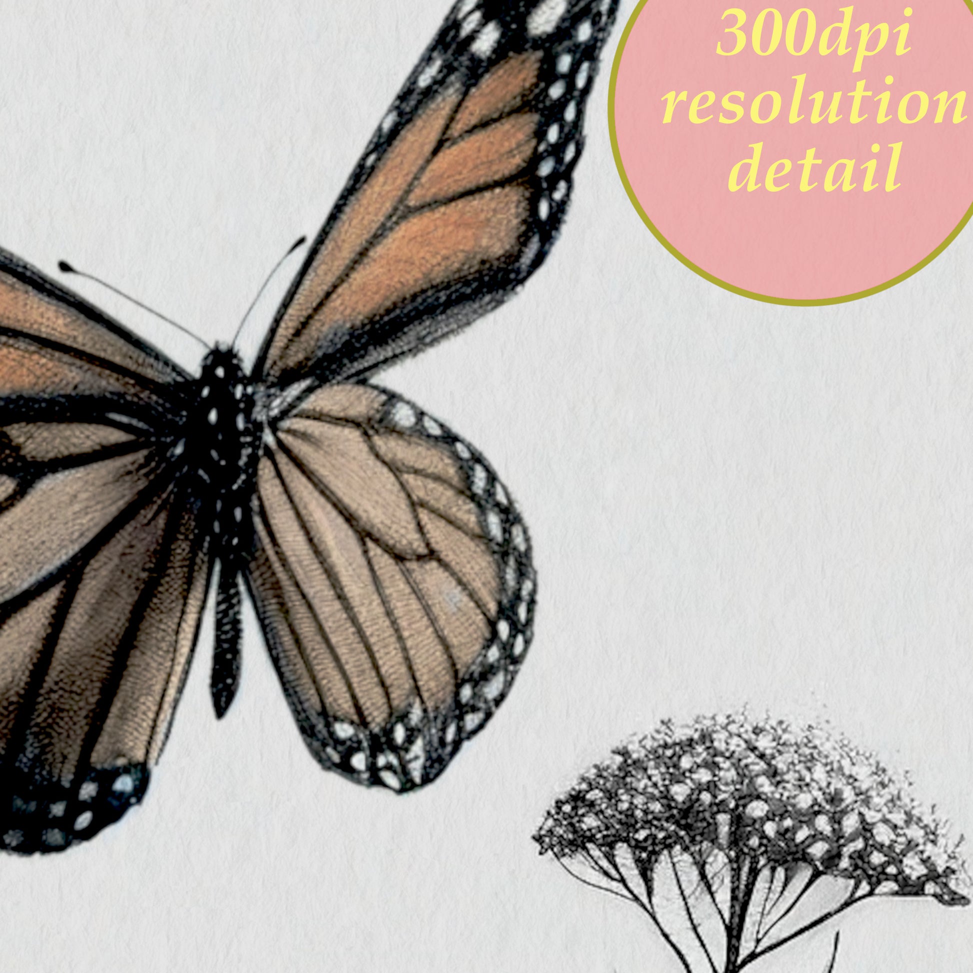 printable wall art. monarch butterfly detail