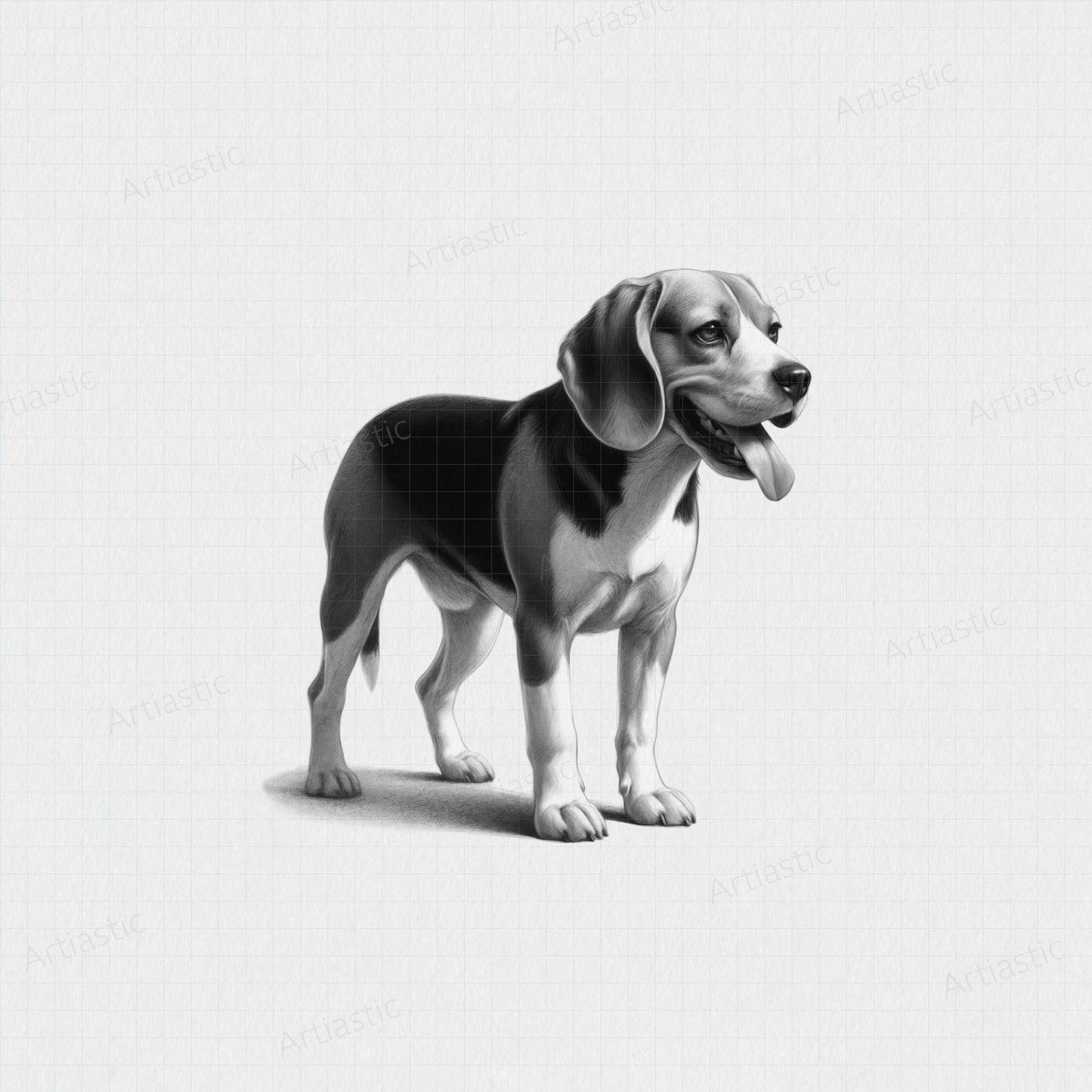 printable charcoal drawing of a beagle dog