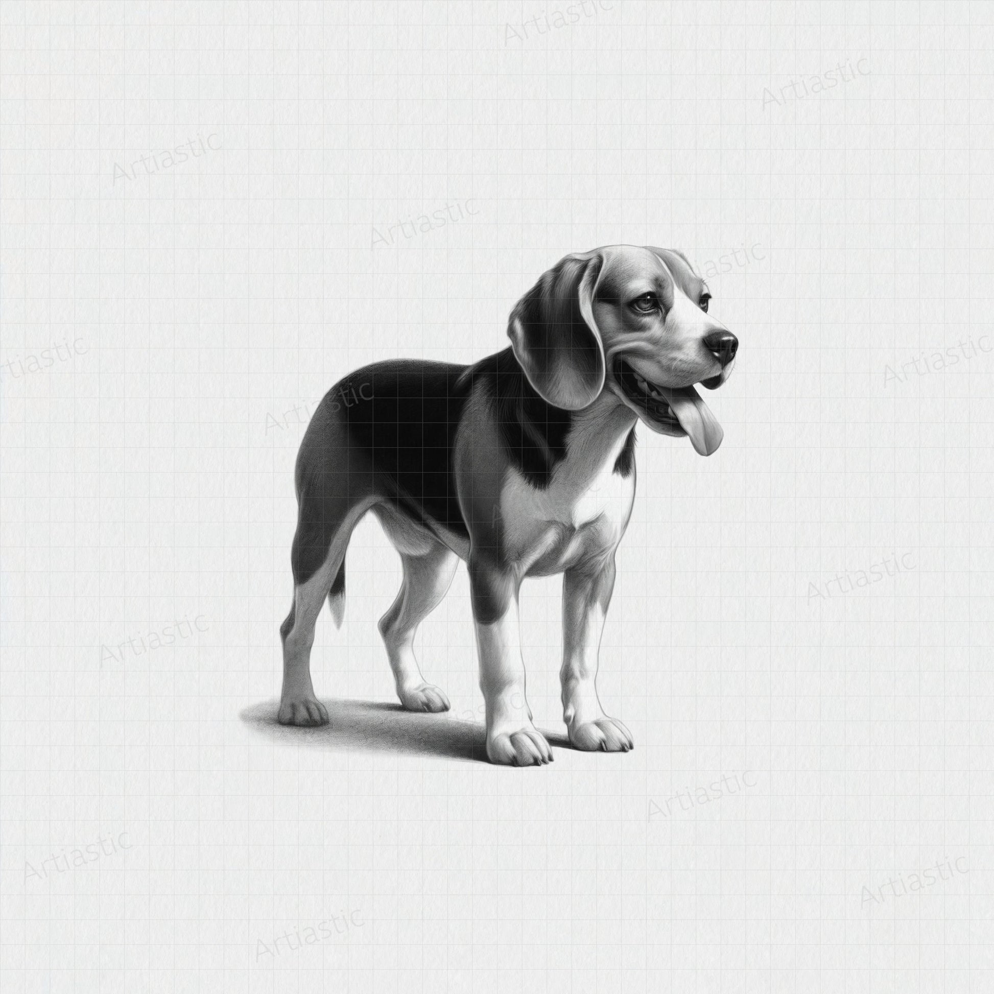 printable charcoal drawing of a beagle dog