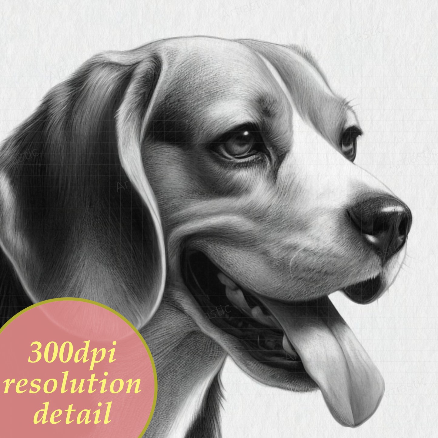 printable charcoal drawing of a beagle dog detail