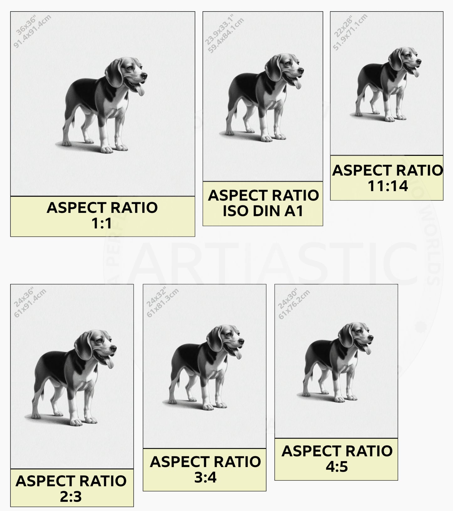 printable charcoal drawing of a beagle dog ratios