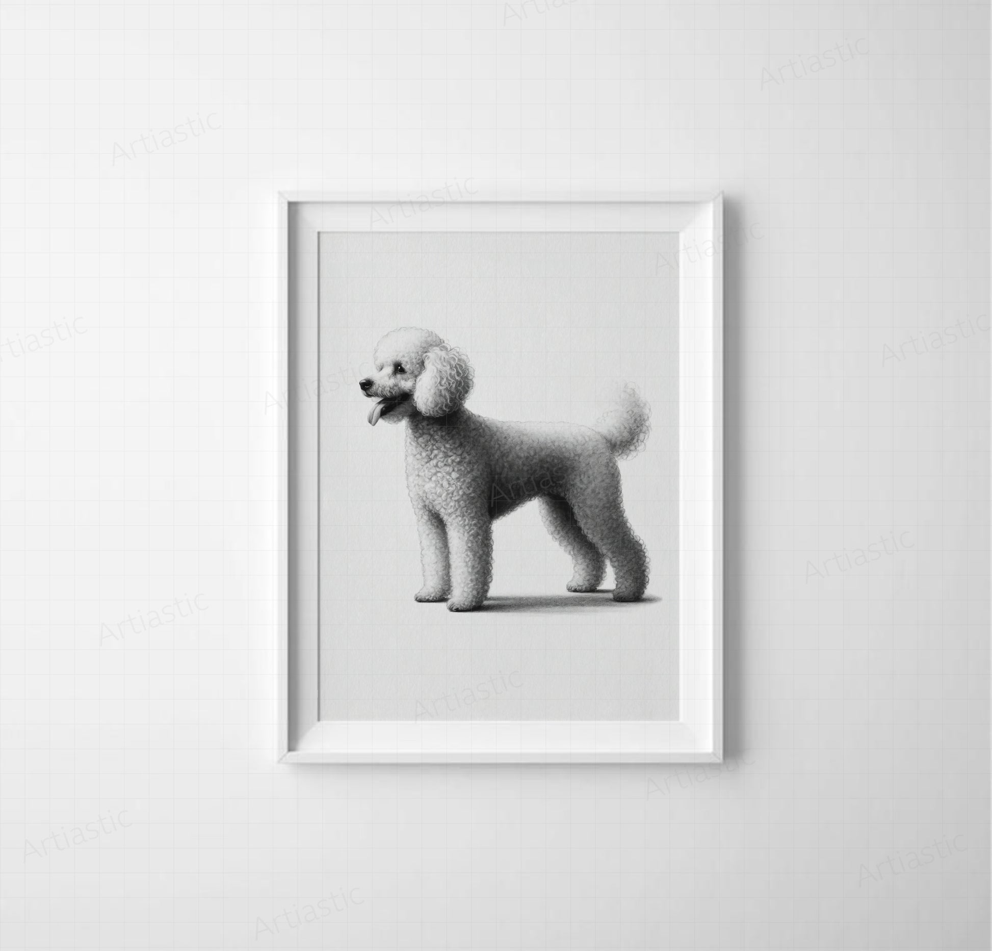 dibujo digital descargable perro raza caniche carboncillo