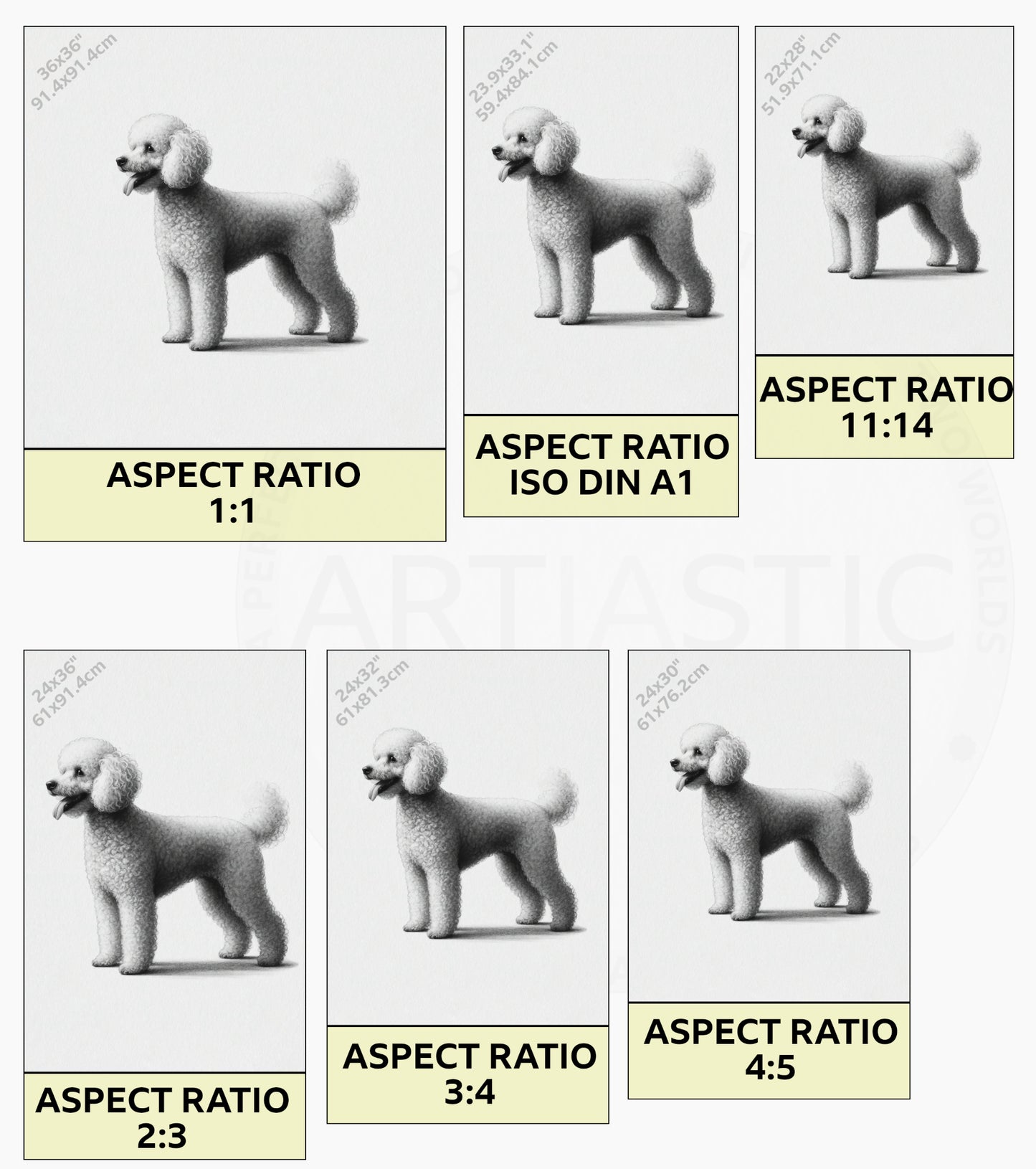 drawing of a poodle dog digital art ratios