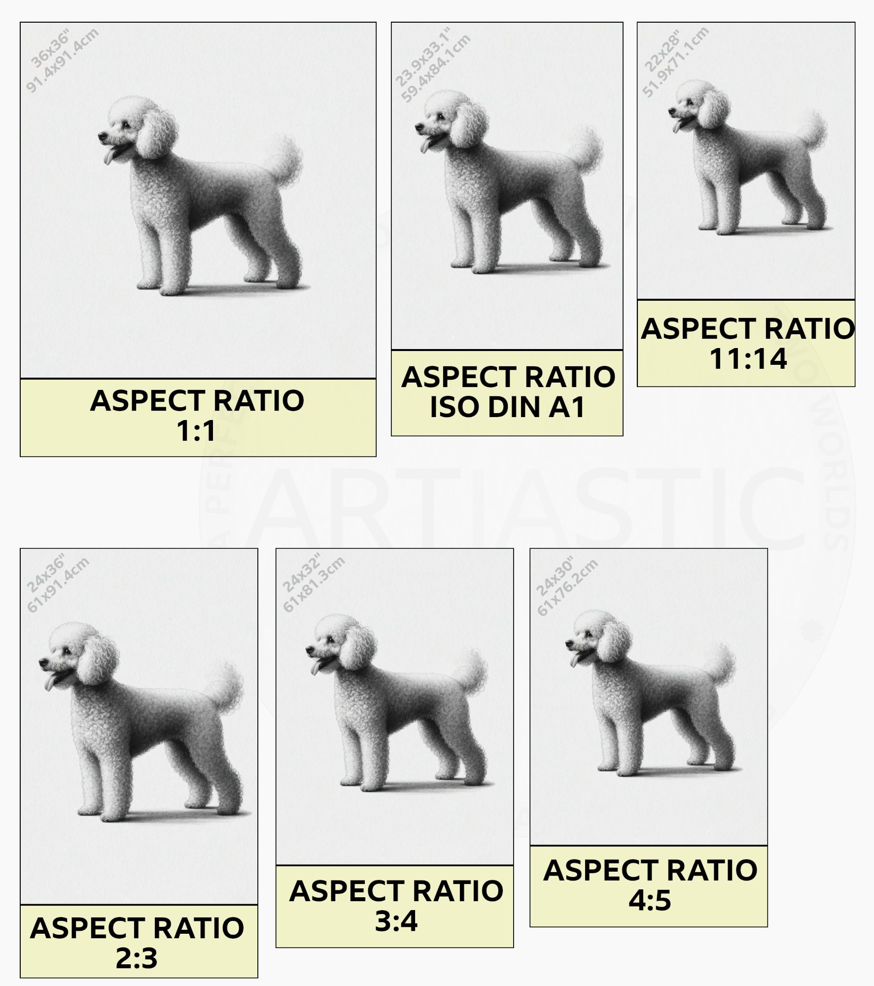 drawing of a poodle dog digital art ratios