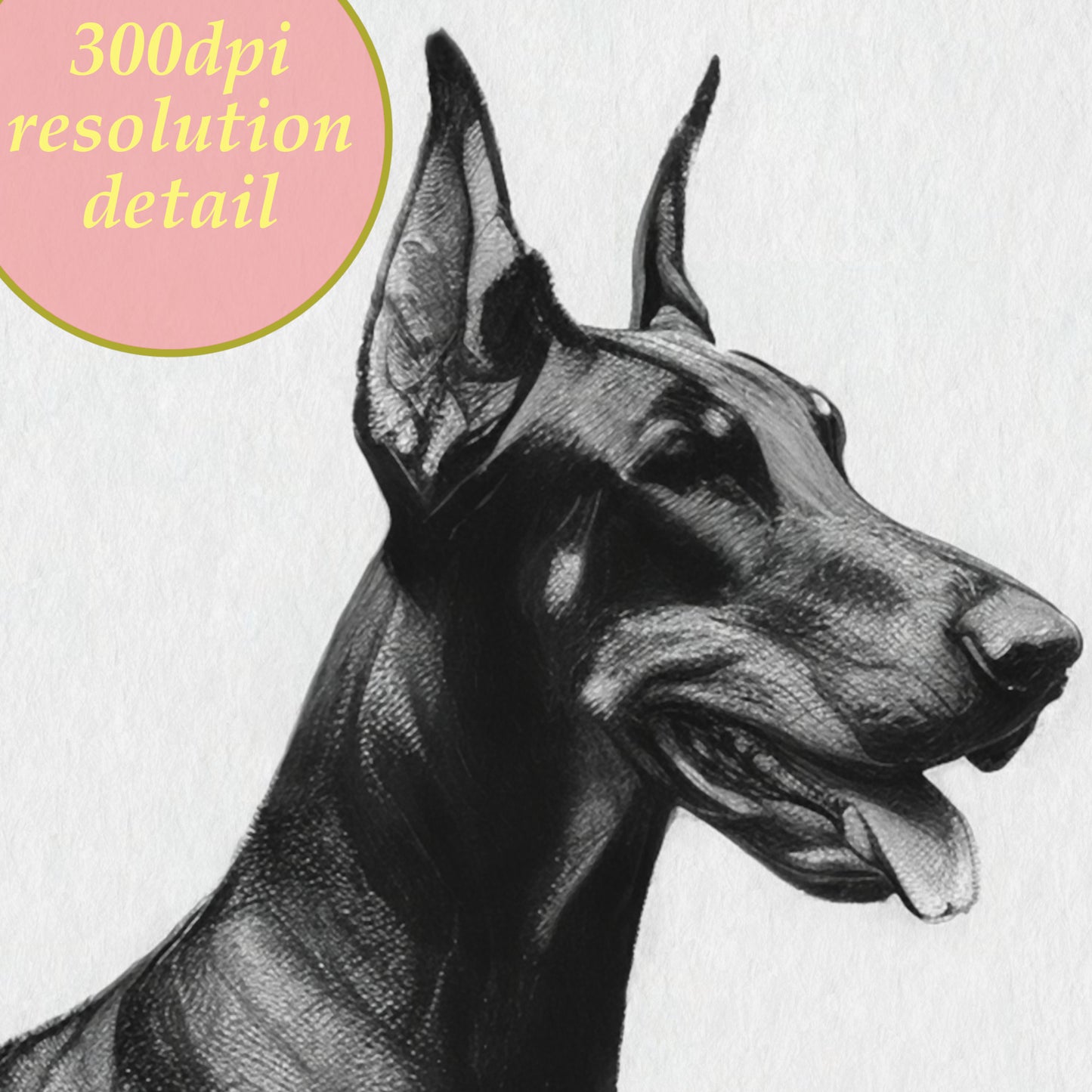 printable drawing charcoal doberman wall art detail