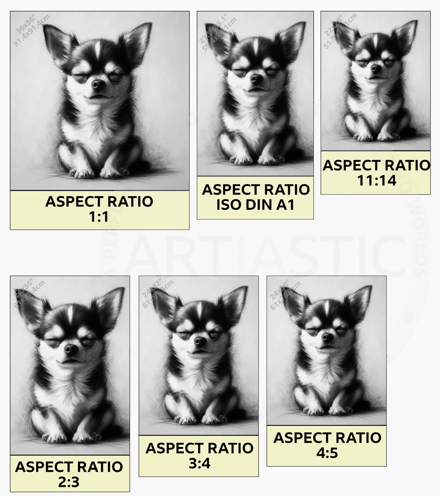 chihuahua dog ilustration detail ratios