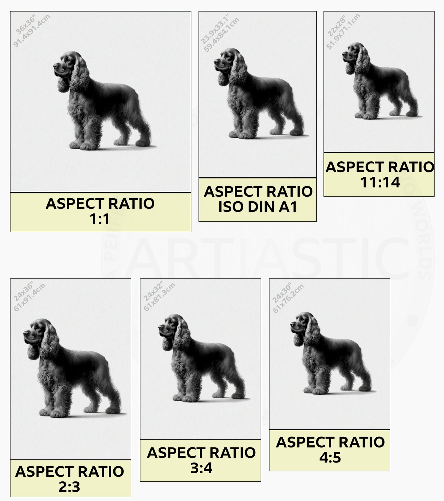 cocker spaniel ratios