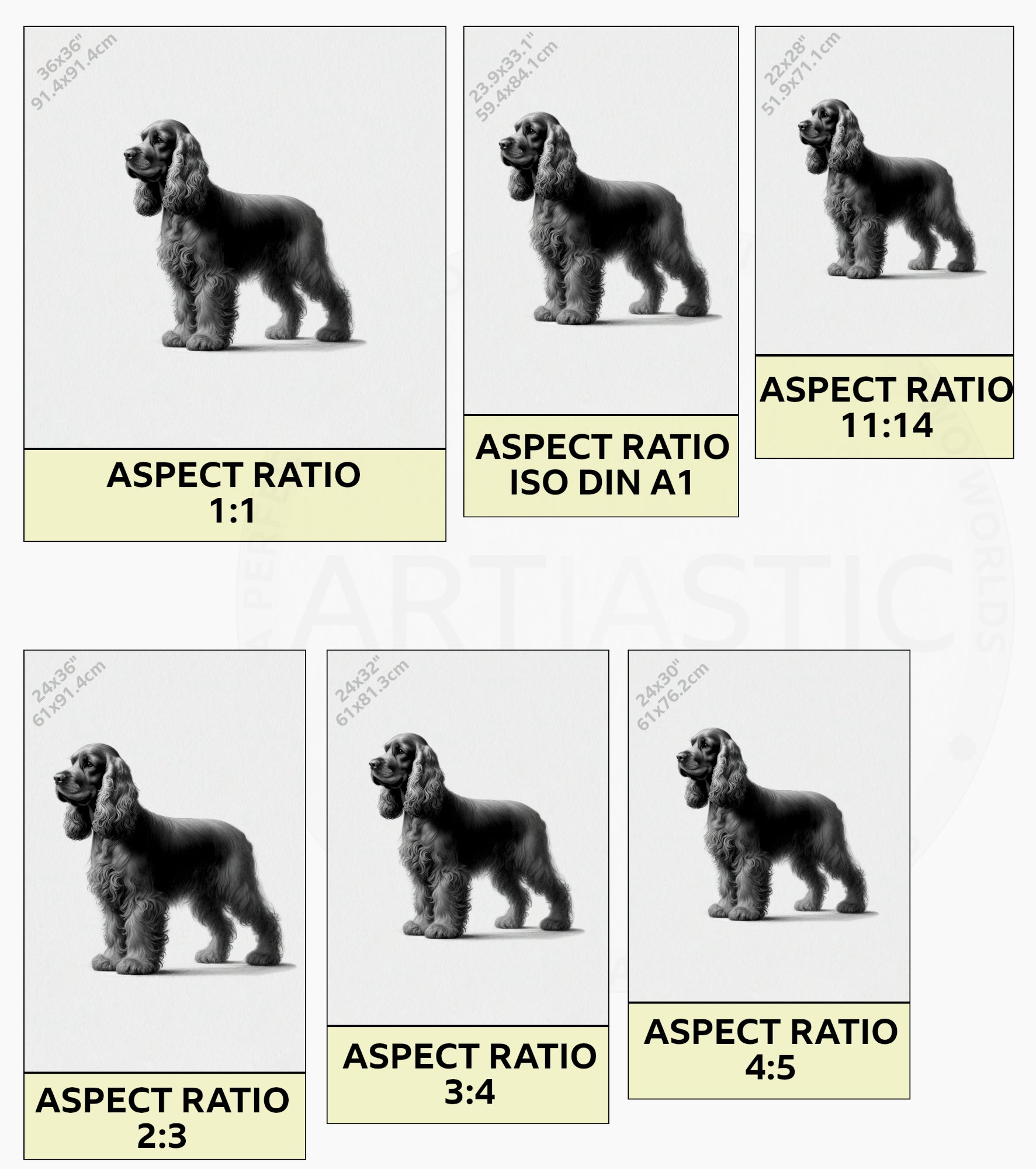 cocker spaniel ratios