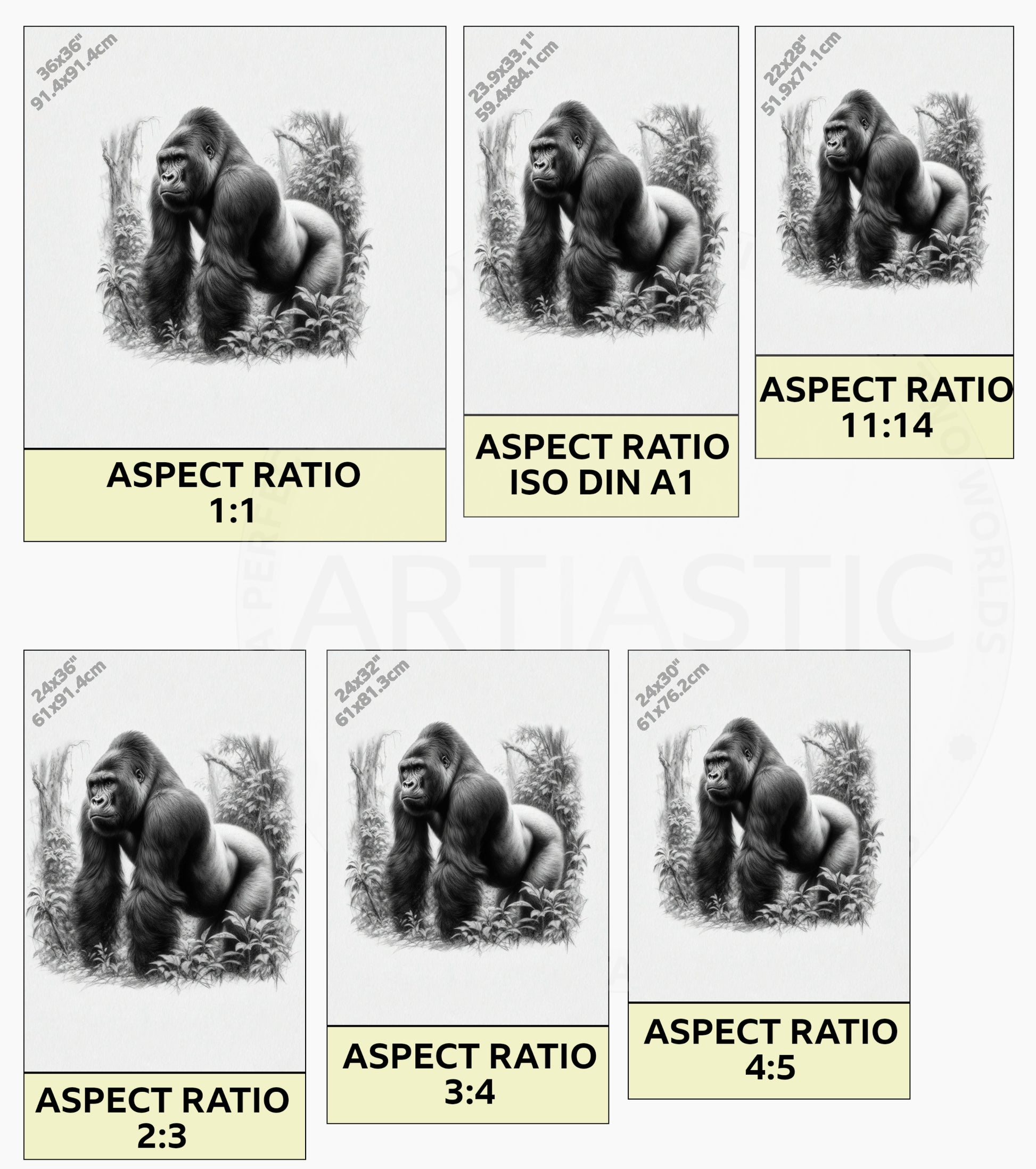 digital charcoal drawing of a silverback gorilla ratios