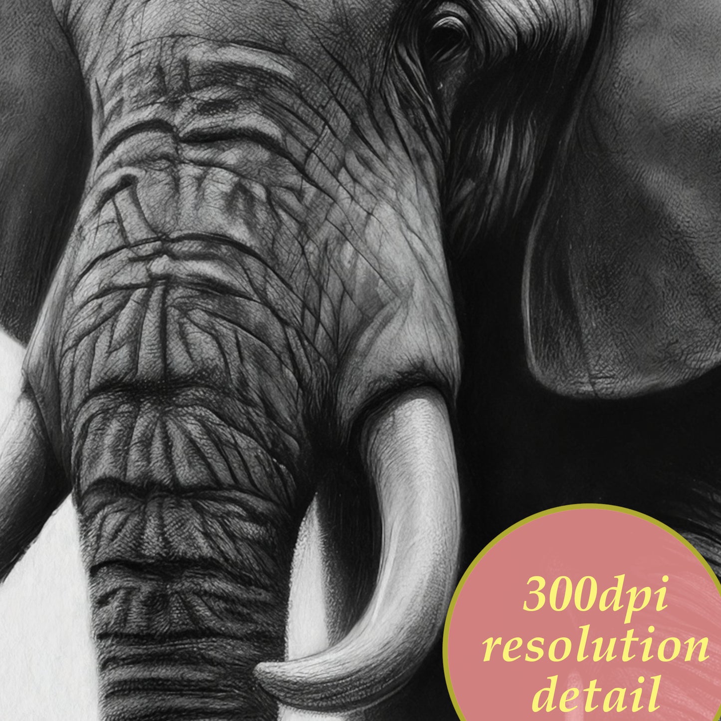 charcoal drawing printable elephant 300dpi