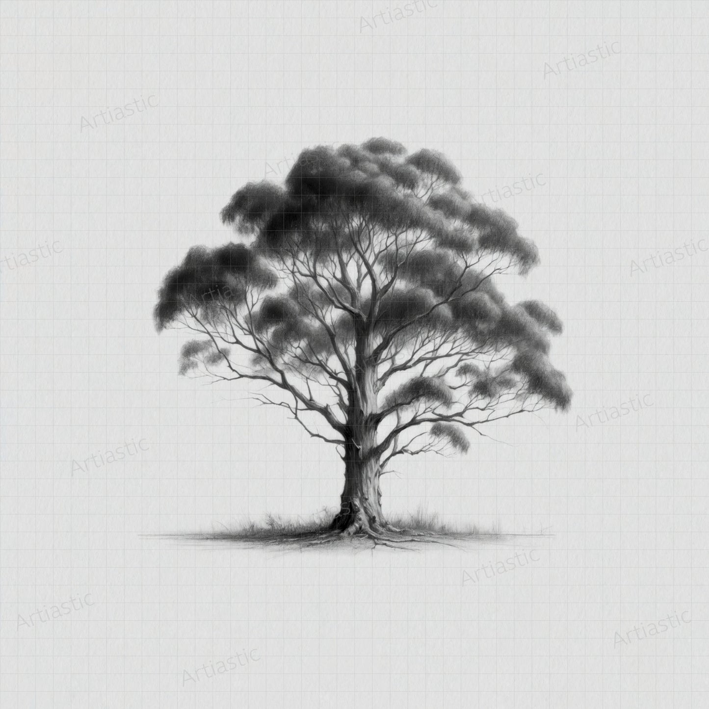 printable drawing minimalist eucaliptus tree