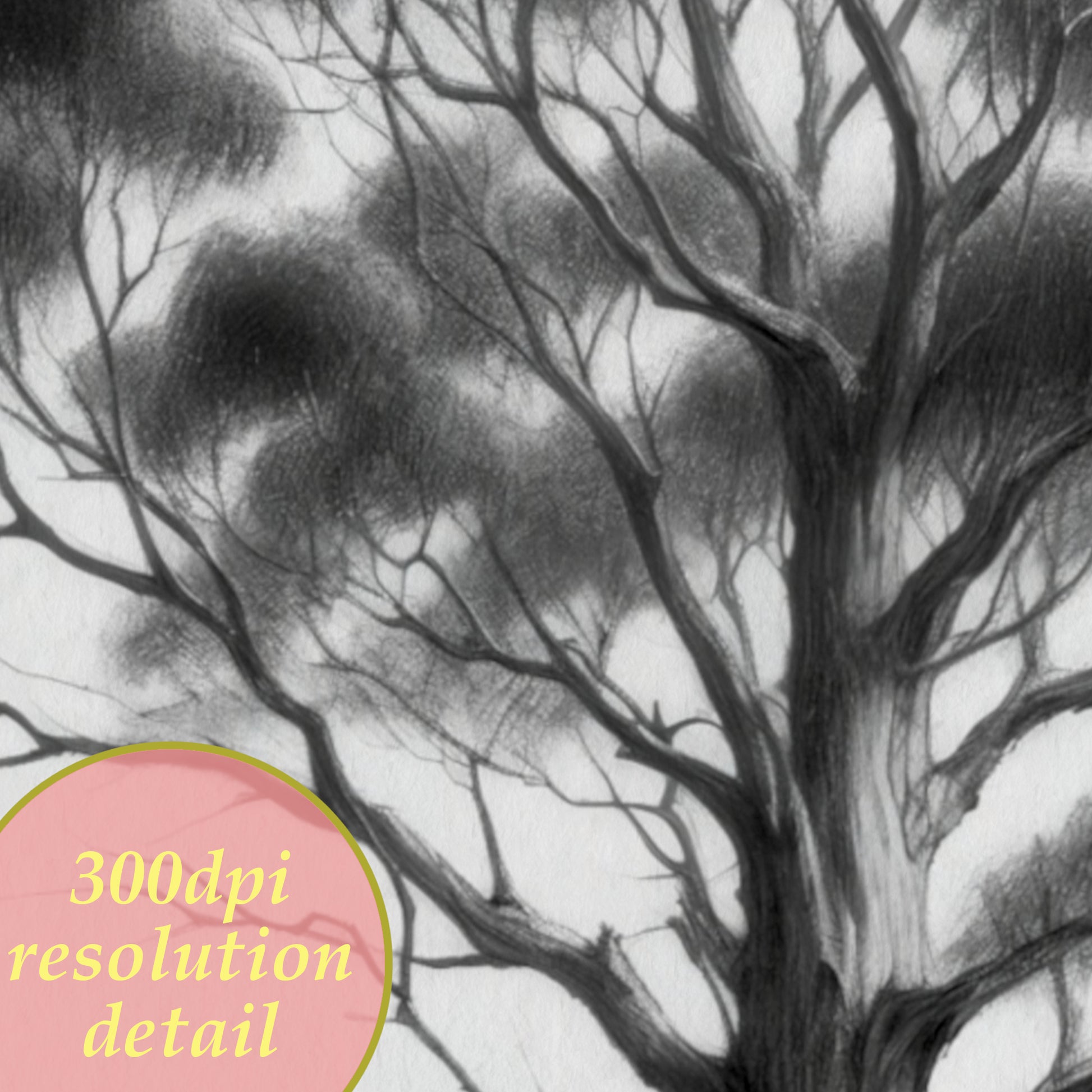 printable drawing minimalist eucaliptus tree detail