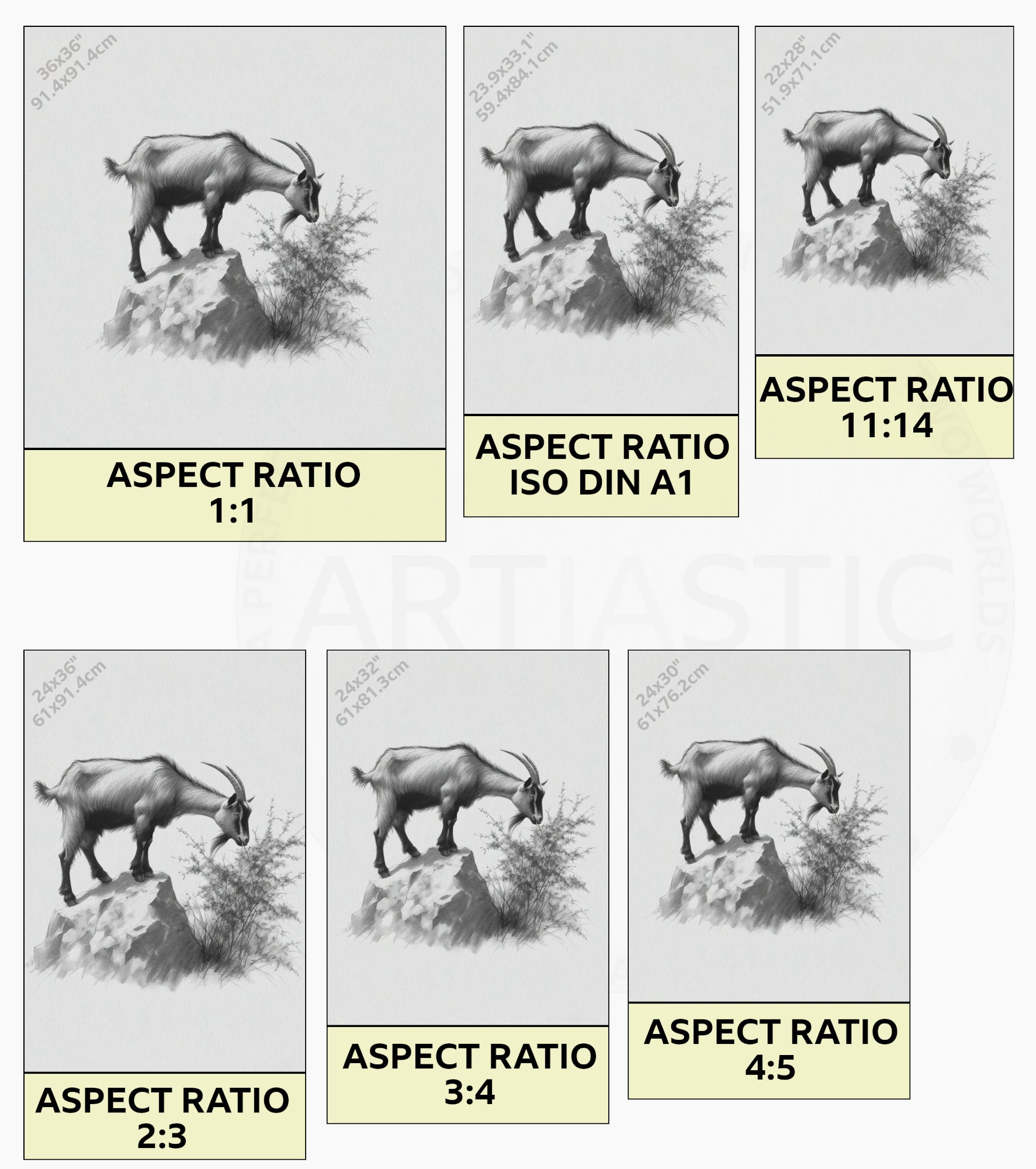 print charcoal drawing of a goat ratios