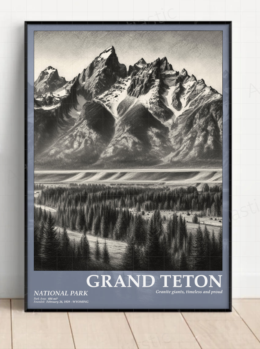 grand teton national park poster framed