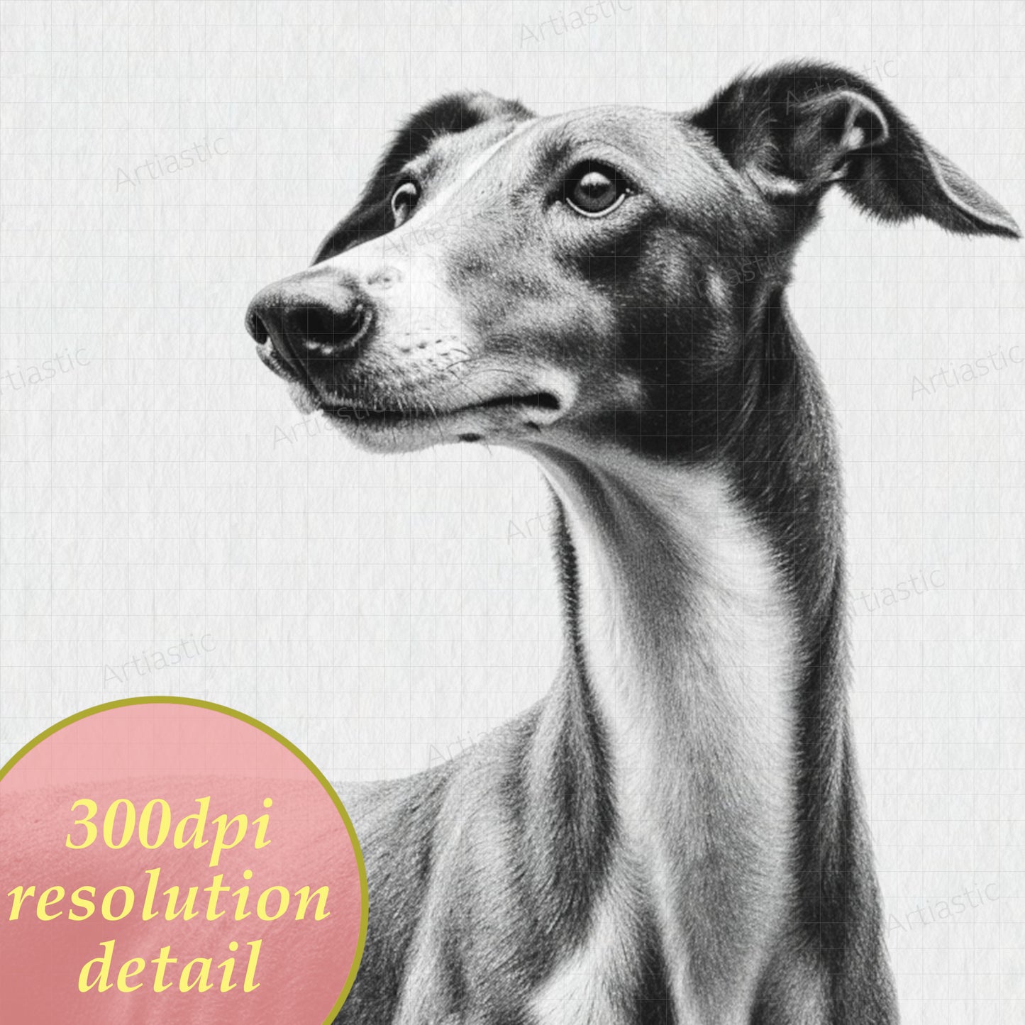 greyhound dog digital drawing wall art 300dpi