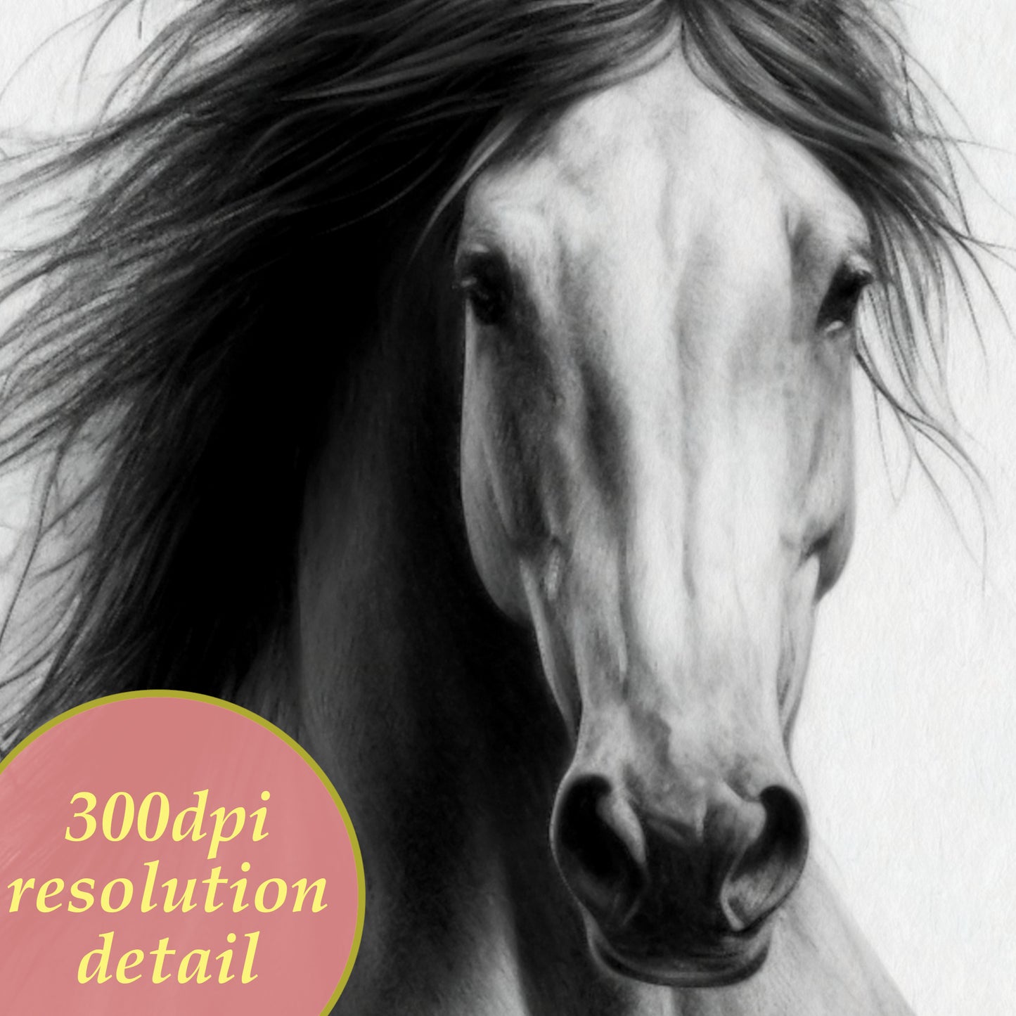 horse digital drawing equestrian art 300dpi