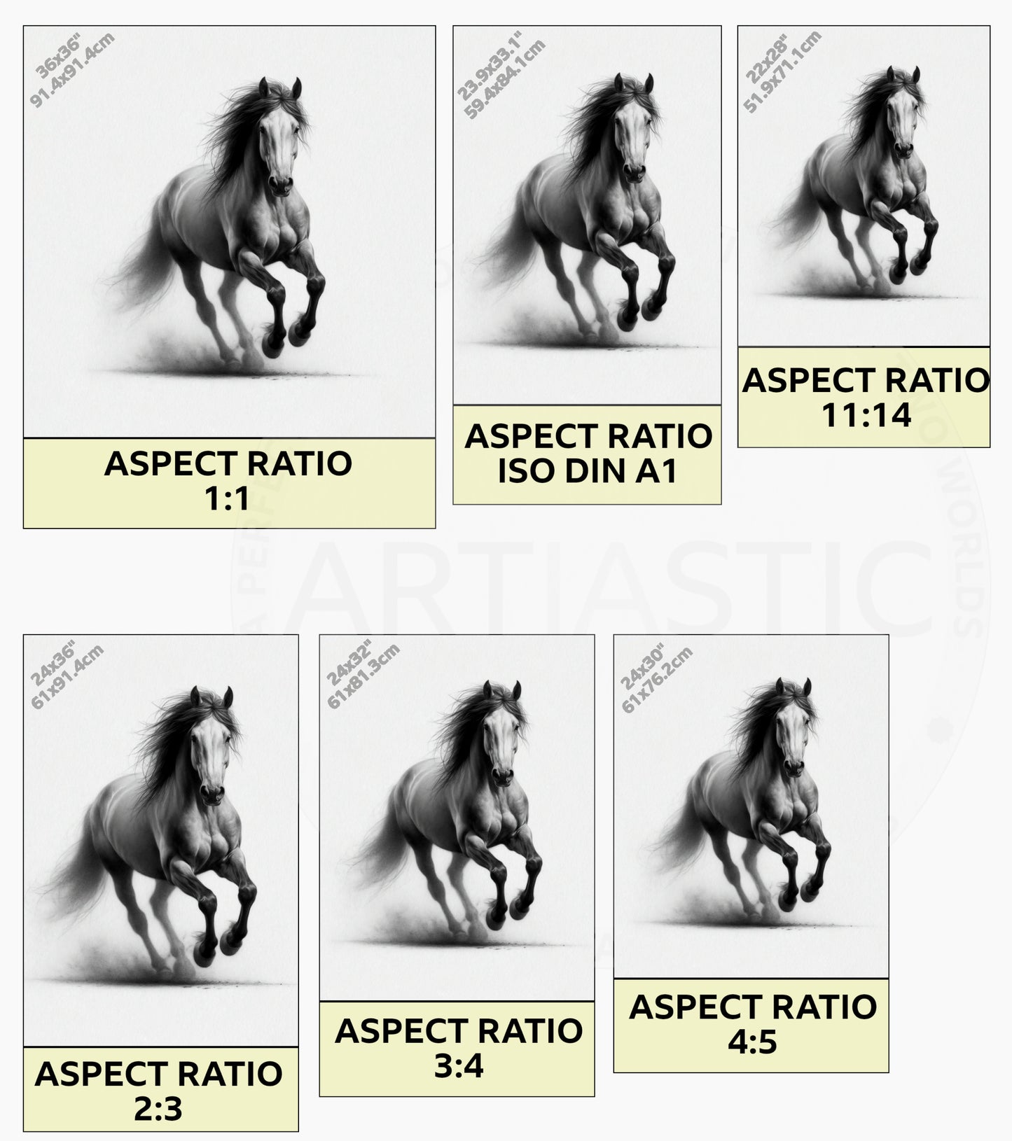 horse digital drawing equestrian art ratios