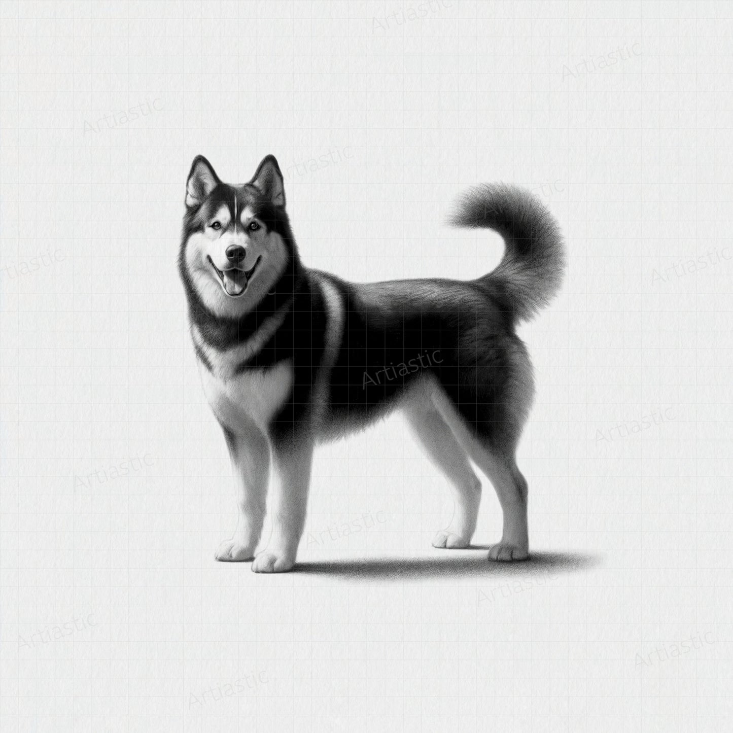 husky dog minimalist digital art