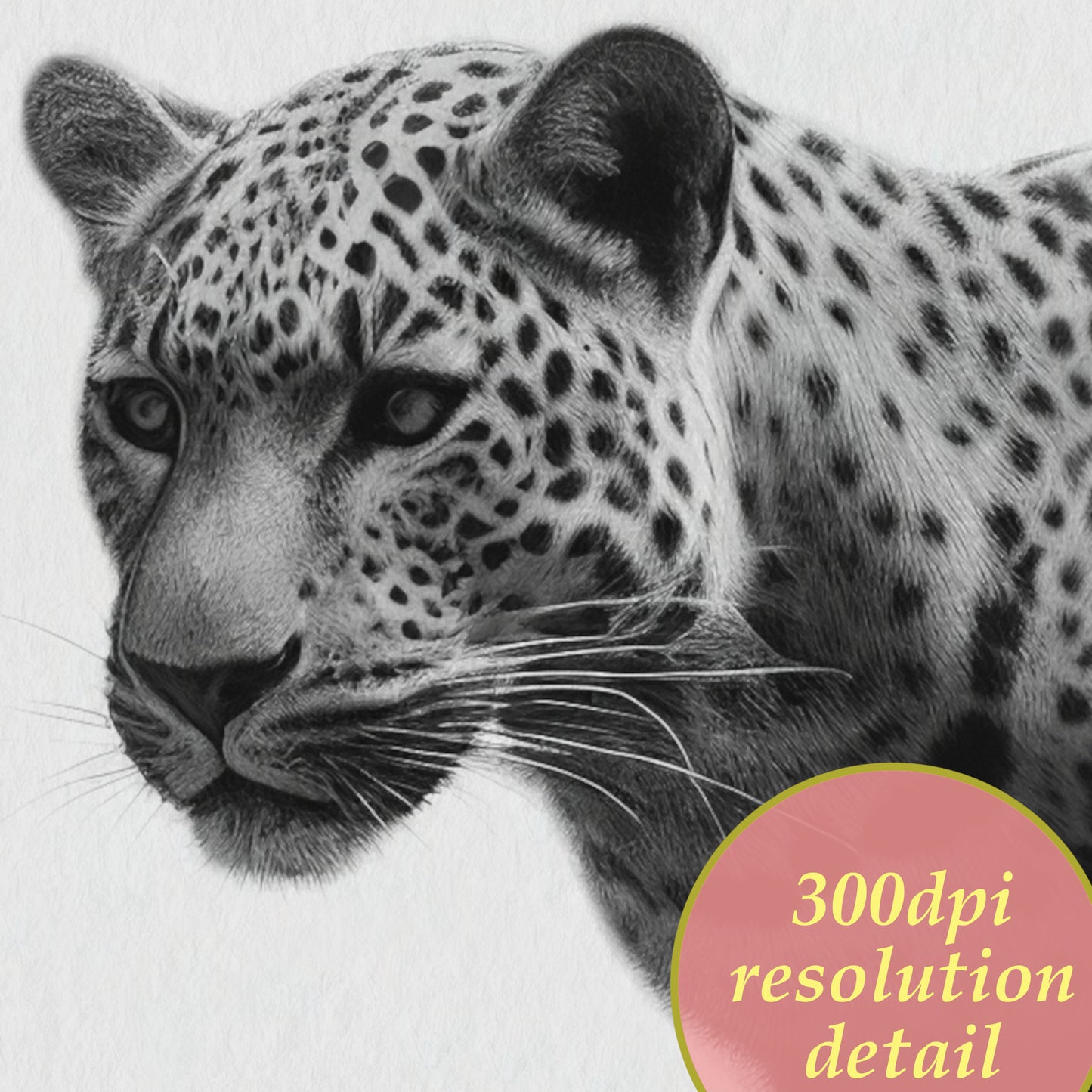 charcoal drawing of a leopard 300dpi