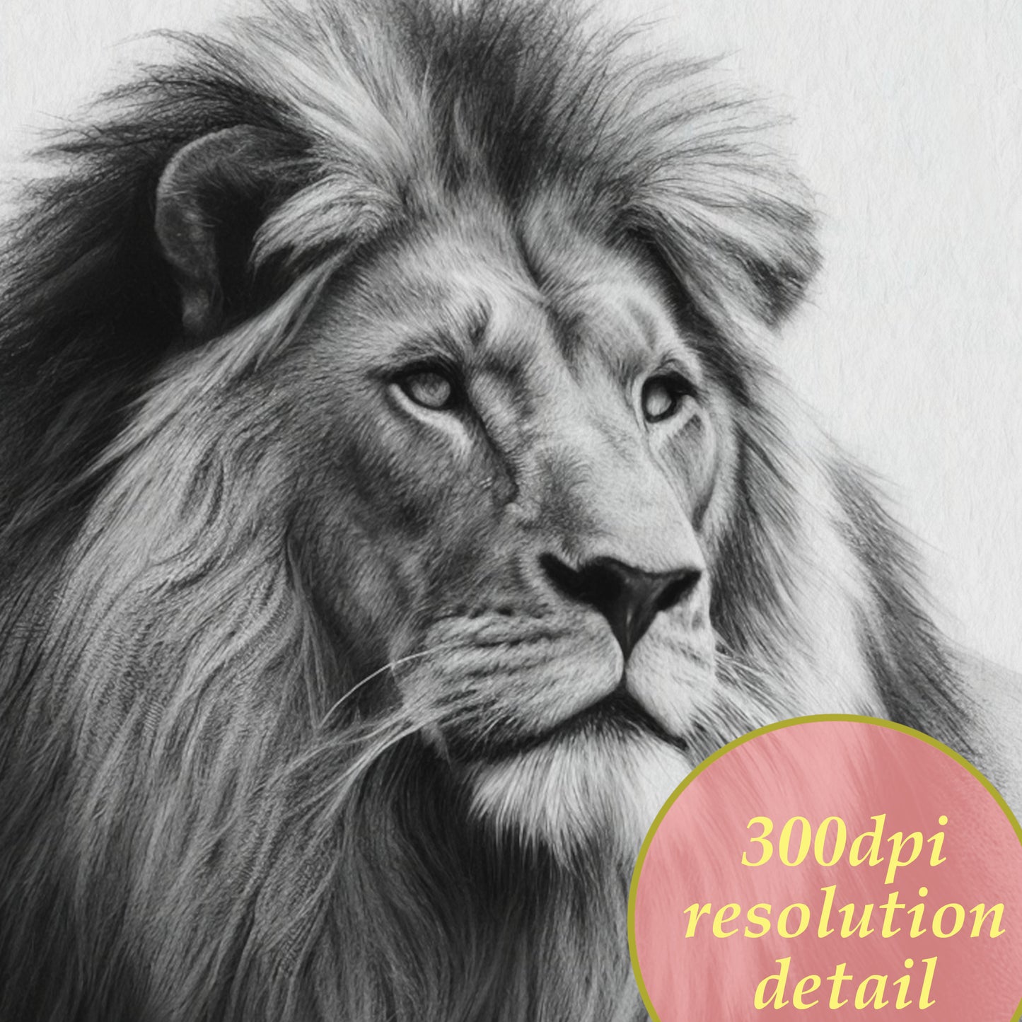 printable charcoal drawing of a lion 300dpi