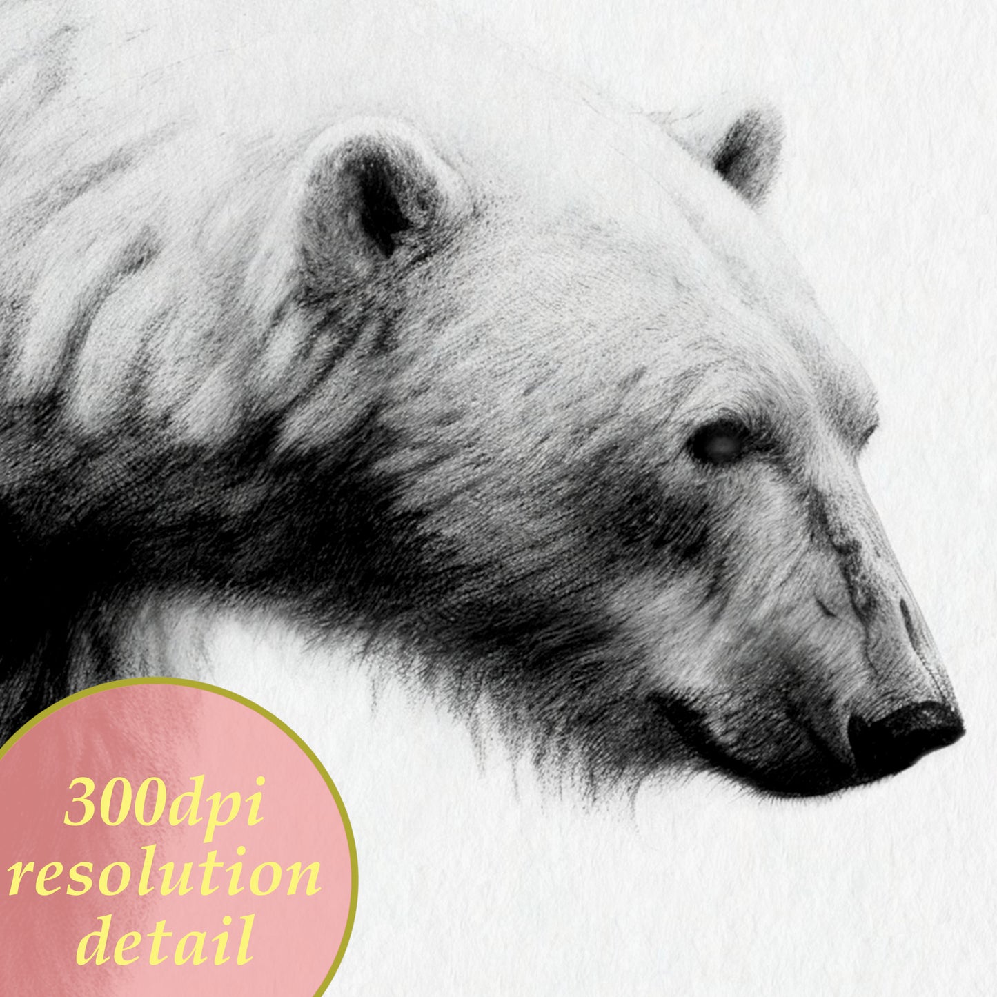 polar bear 300dpi illustration